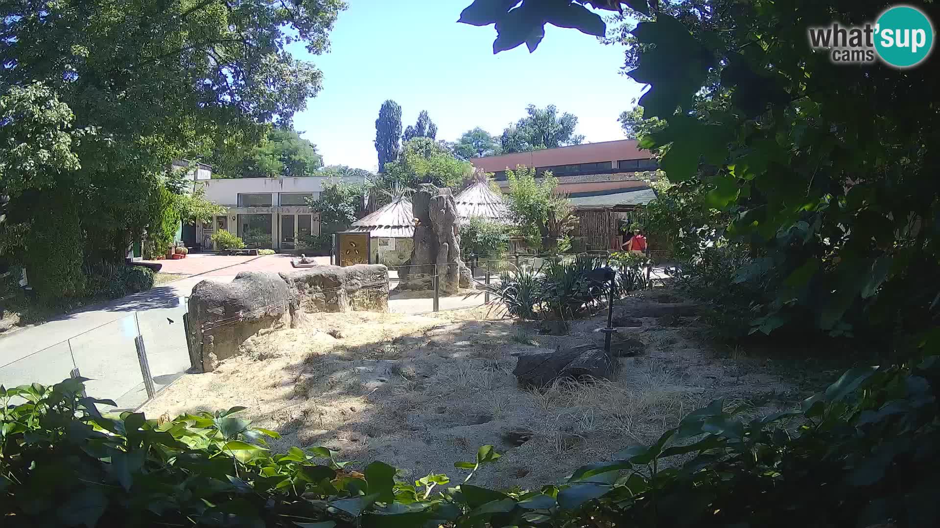 Zoo Zagreb – Merkat