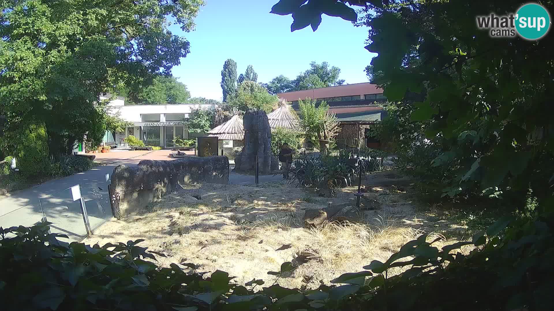 Zoo Zagreb – Erdmännchen