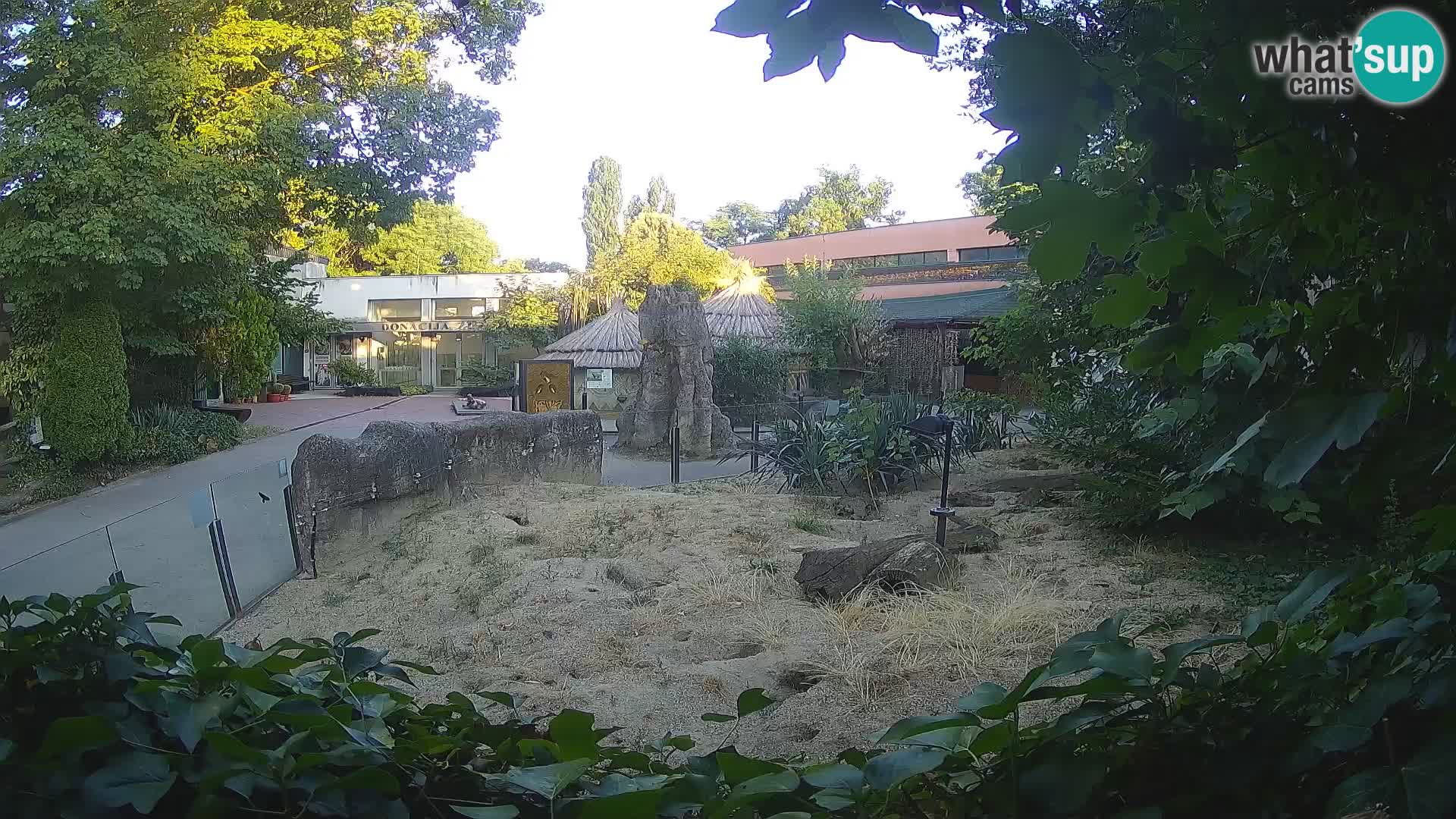 Zoo Zagreb – Erdmännchen