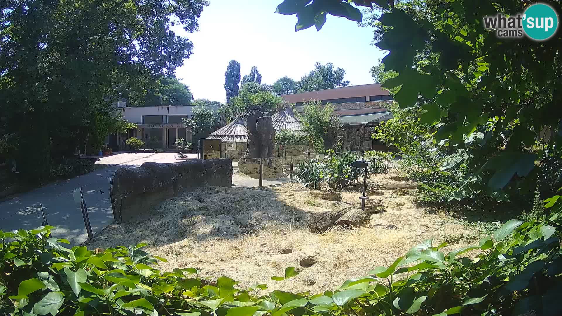 Zoo Zagreb – Erdmännchen