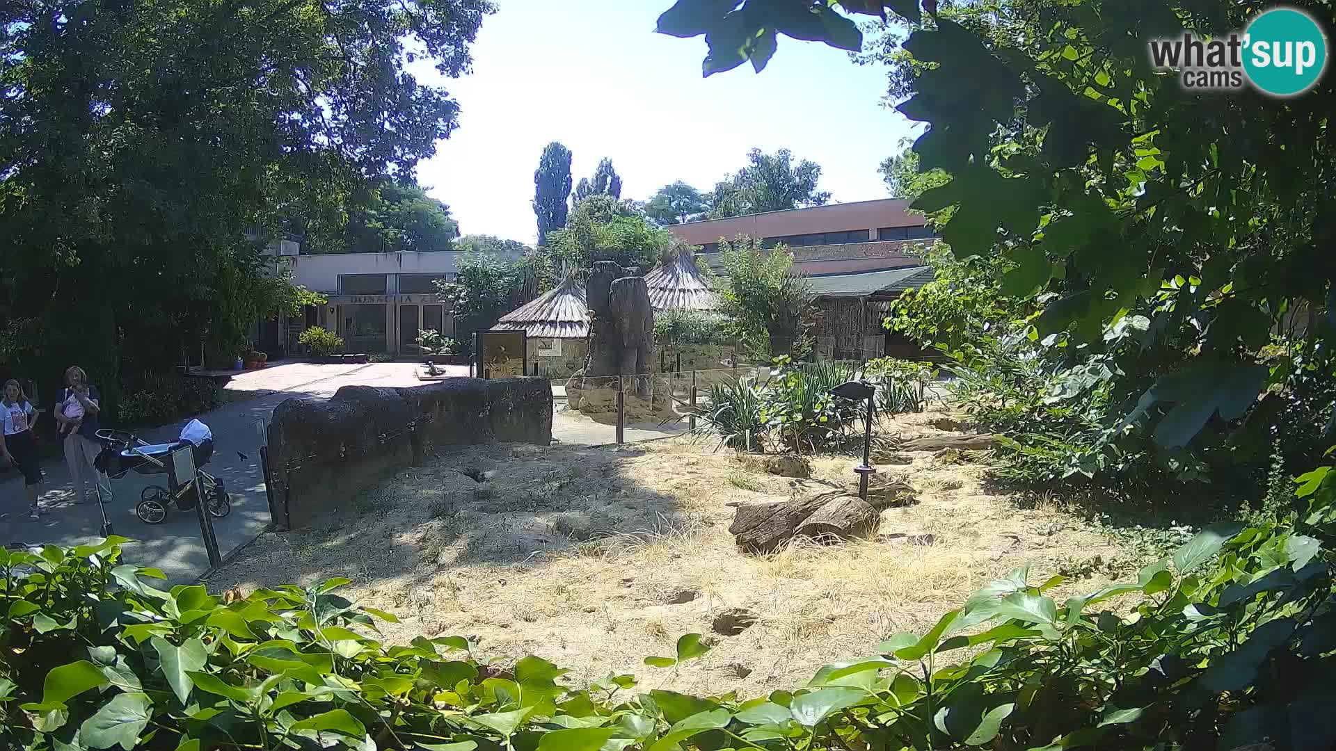 Zoo Zagreb – Merkat
