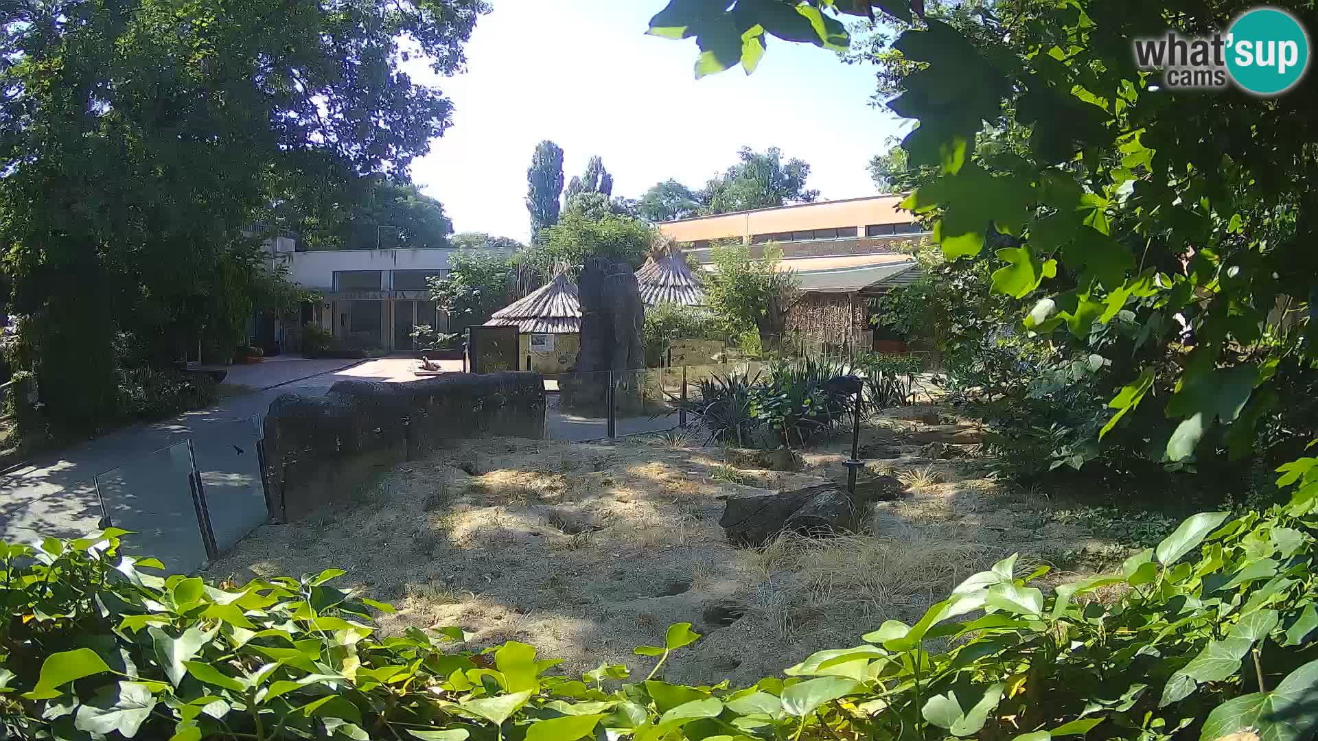 Zoo Zagreb – Erdmännchen