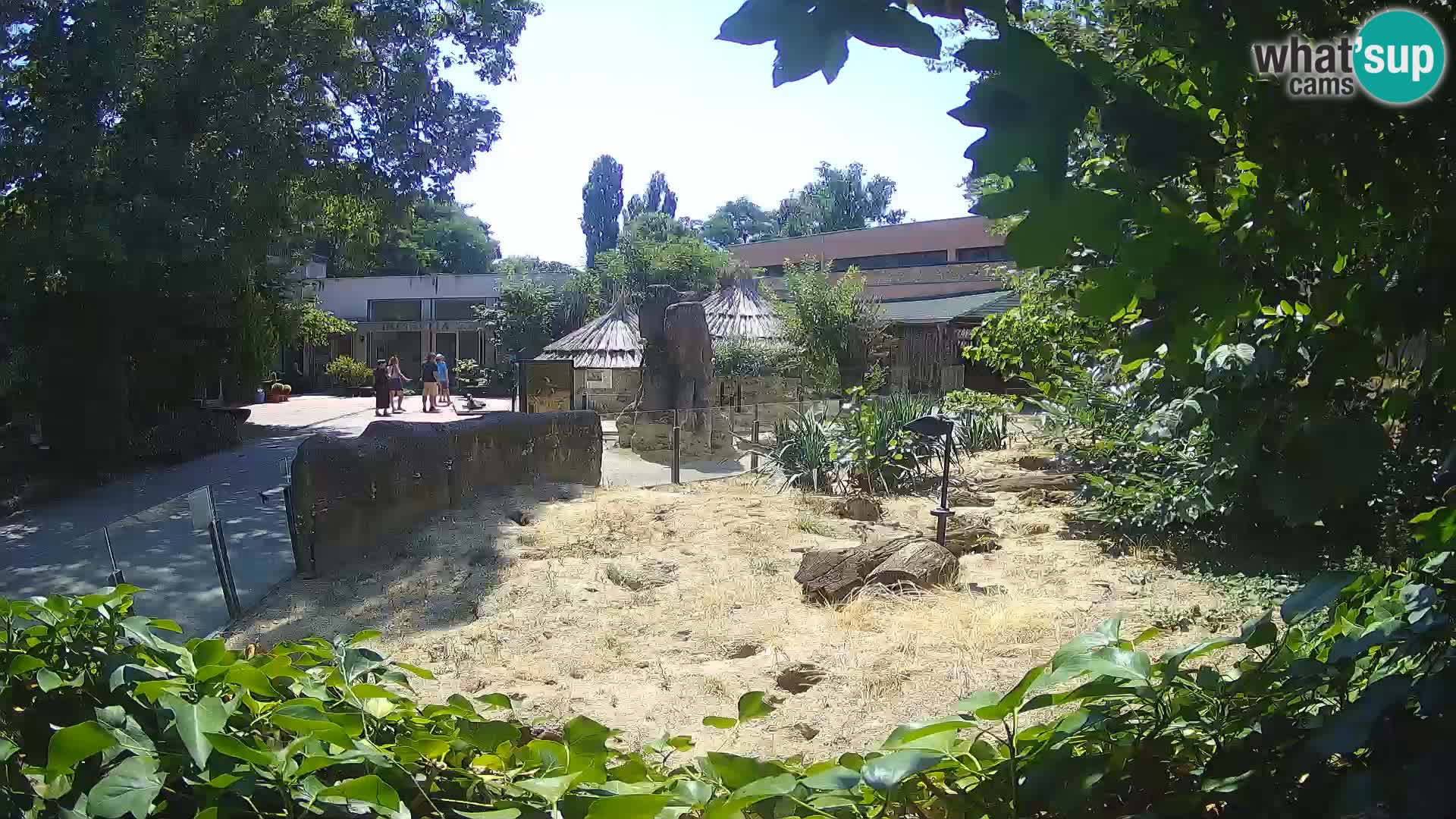 Zoo Zagreb – Erdmännchen
