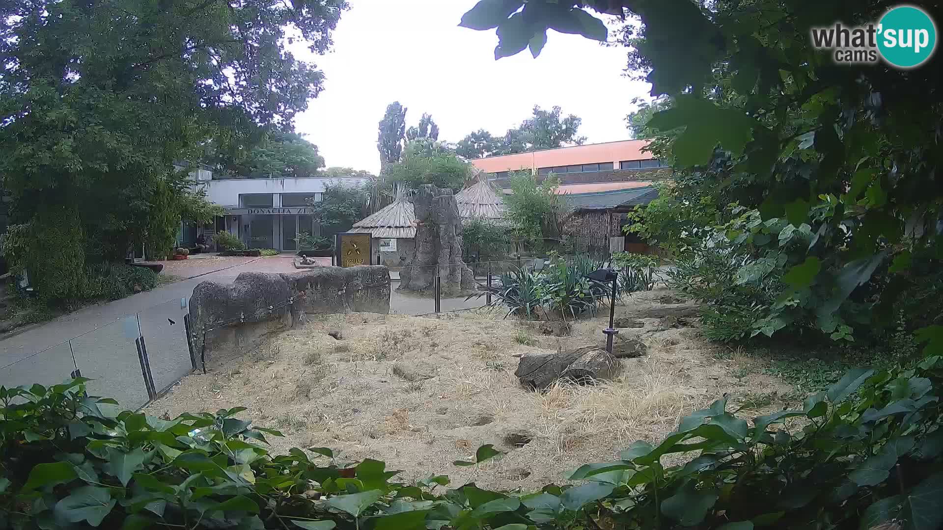 Zoo Zagreb – Surikate