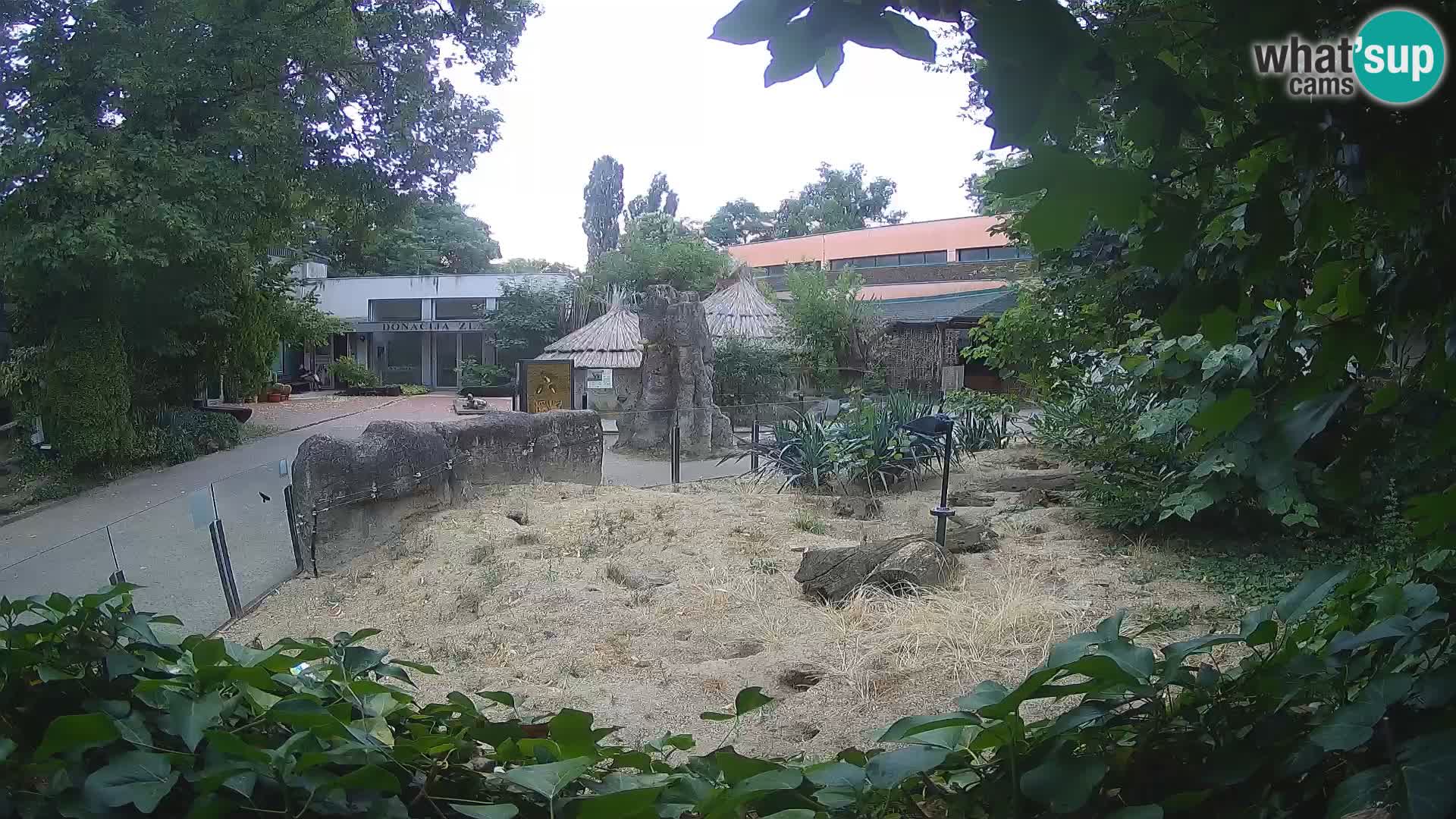 Zoo Zagreb – Erdmännchen