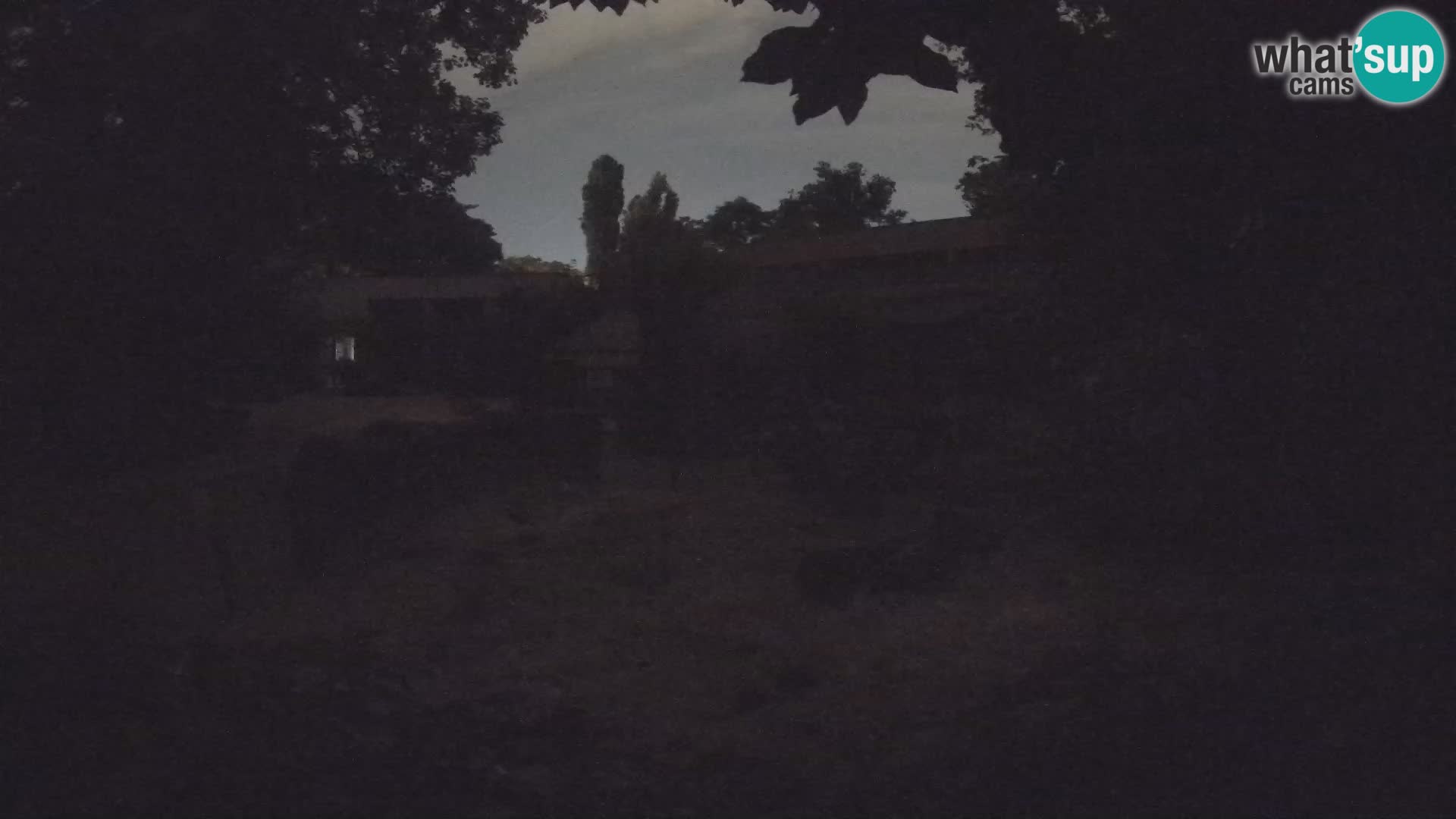 Zoo Zagreb – Surikate
