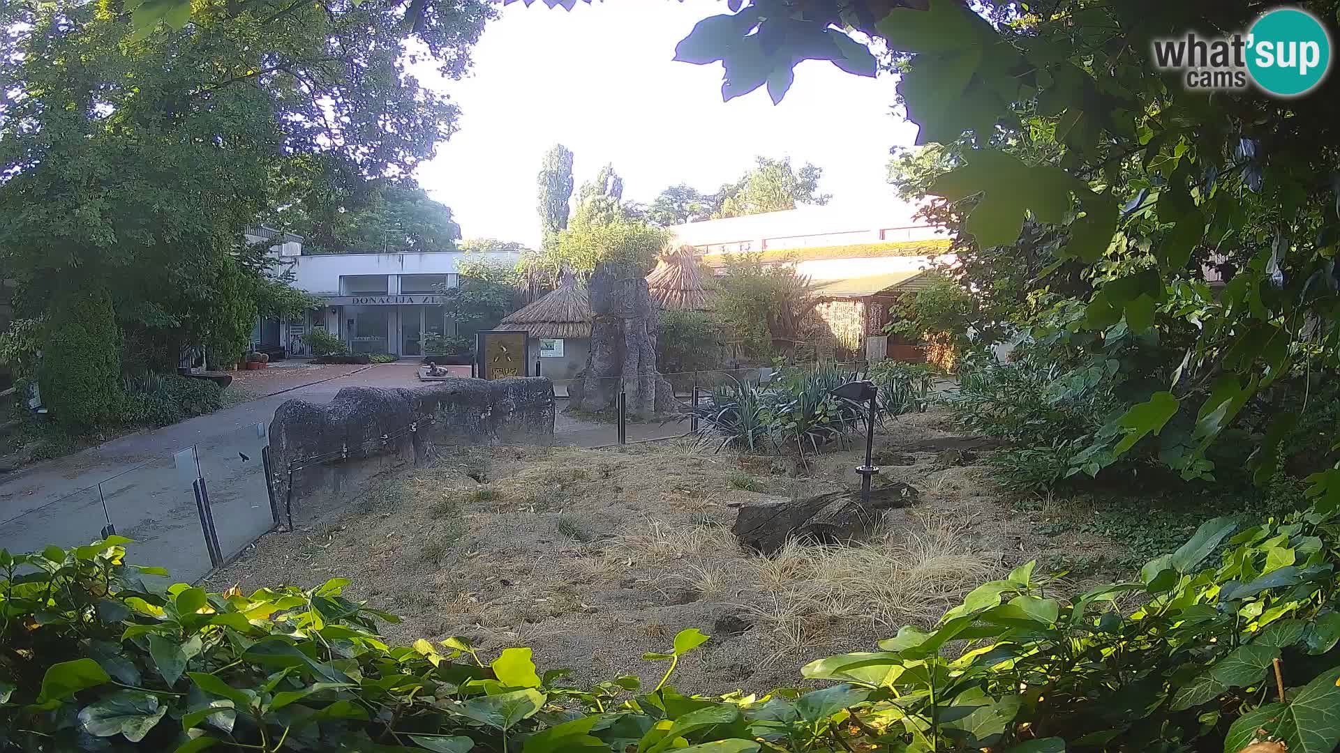 Zoo Zagreb – Merkat