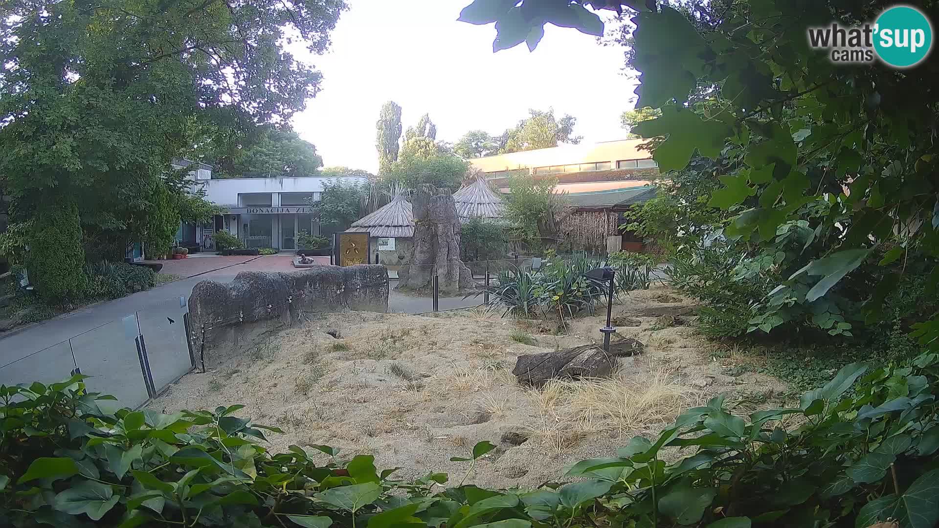 Zoo Zagreb – Erdmännchen