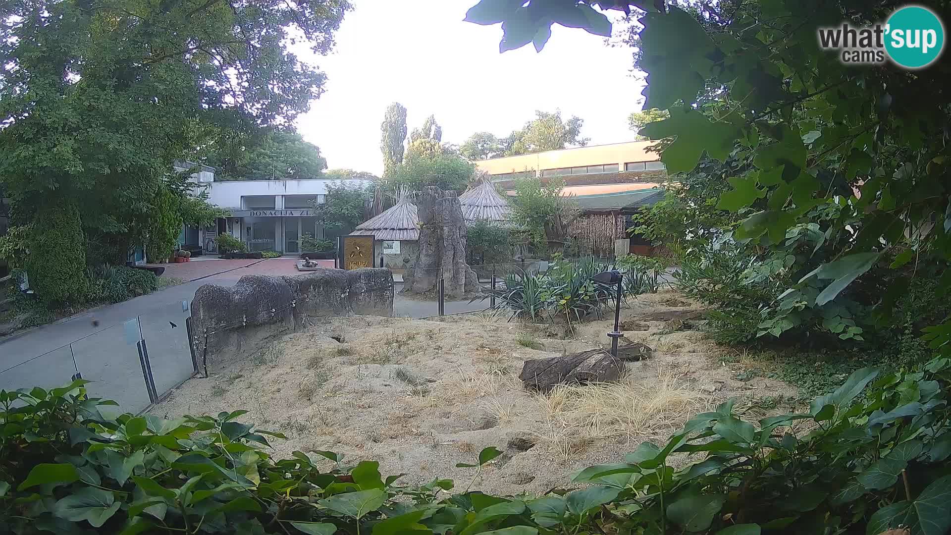 Zoo Zagreb – Merkat