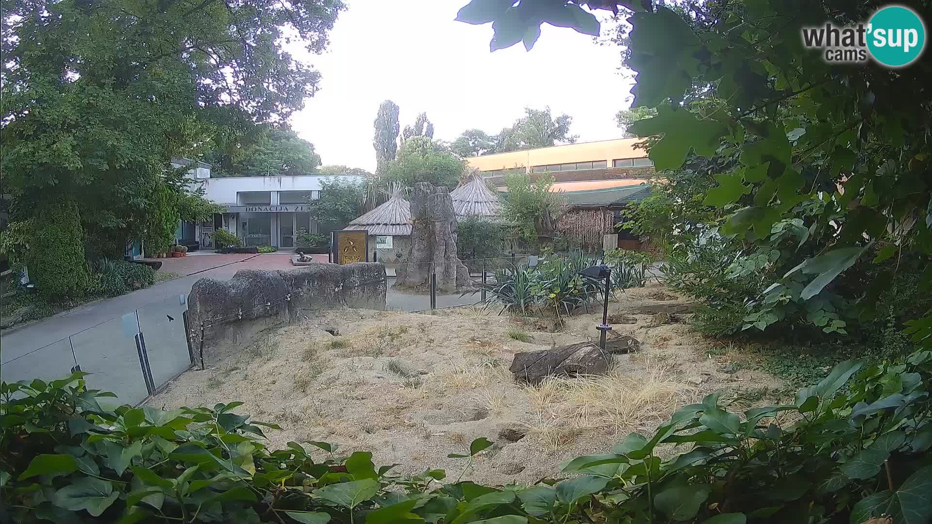 Zoo Zagreb – Surikate