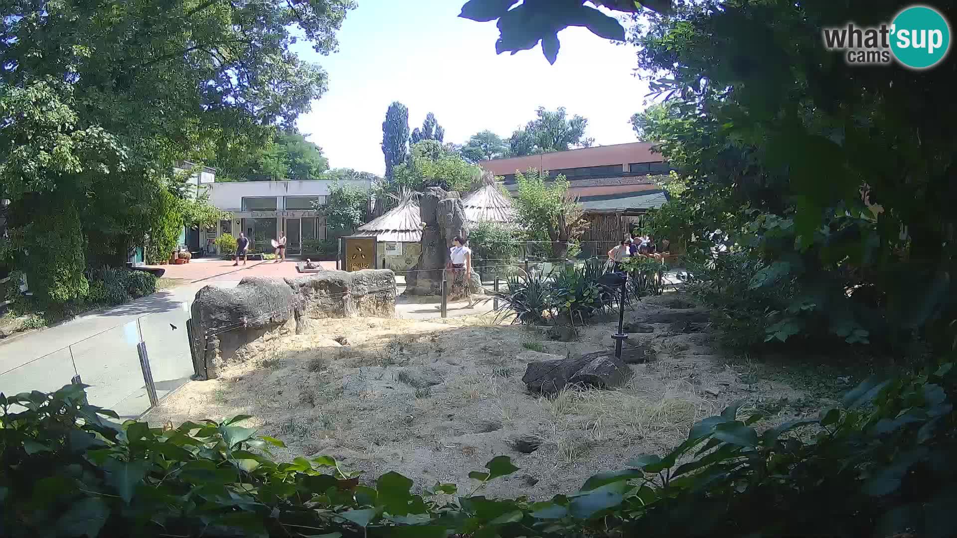 Zoo Zagreb – Erdmännchen