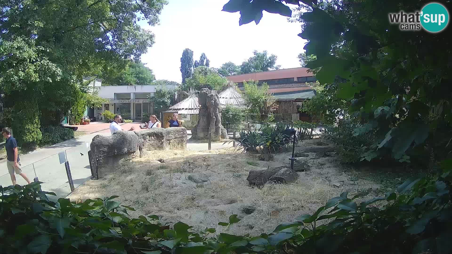 Zoo Zagreb – Erdmännchen