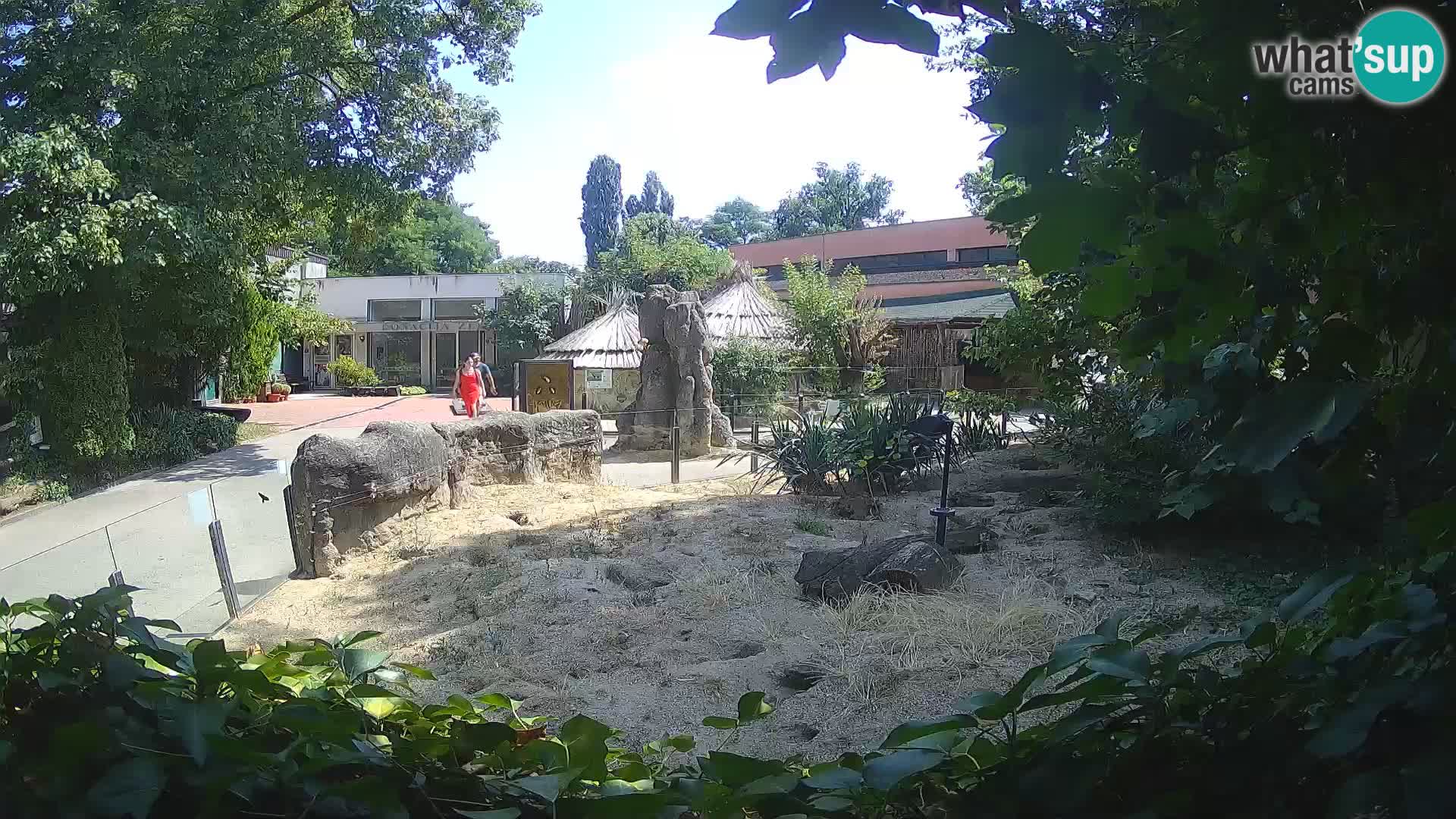 Zoo Zagreb – Erdmännchen