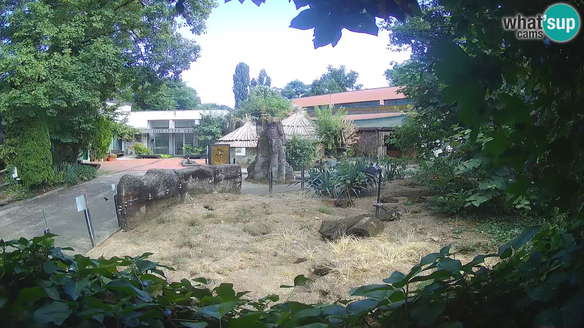 Zoo Zagreb – Erdmännchen