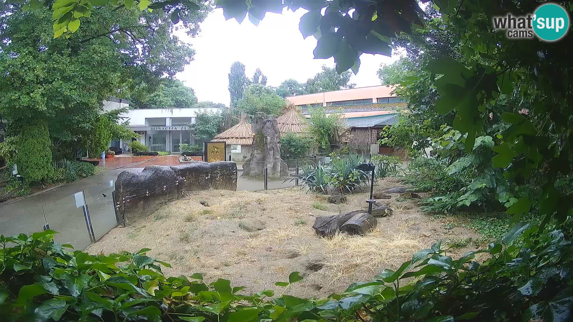 Zoo Zagreb – Surikate