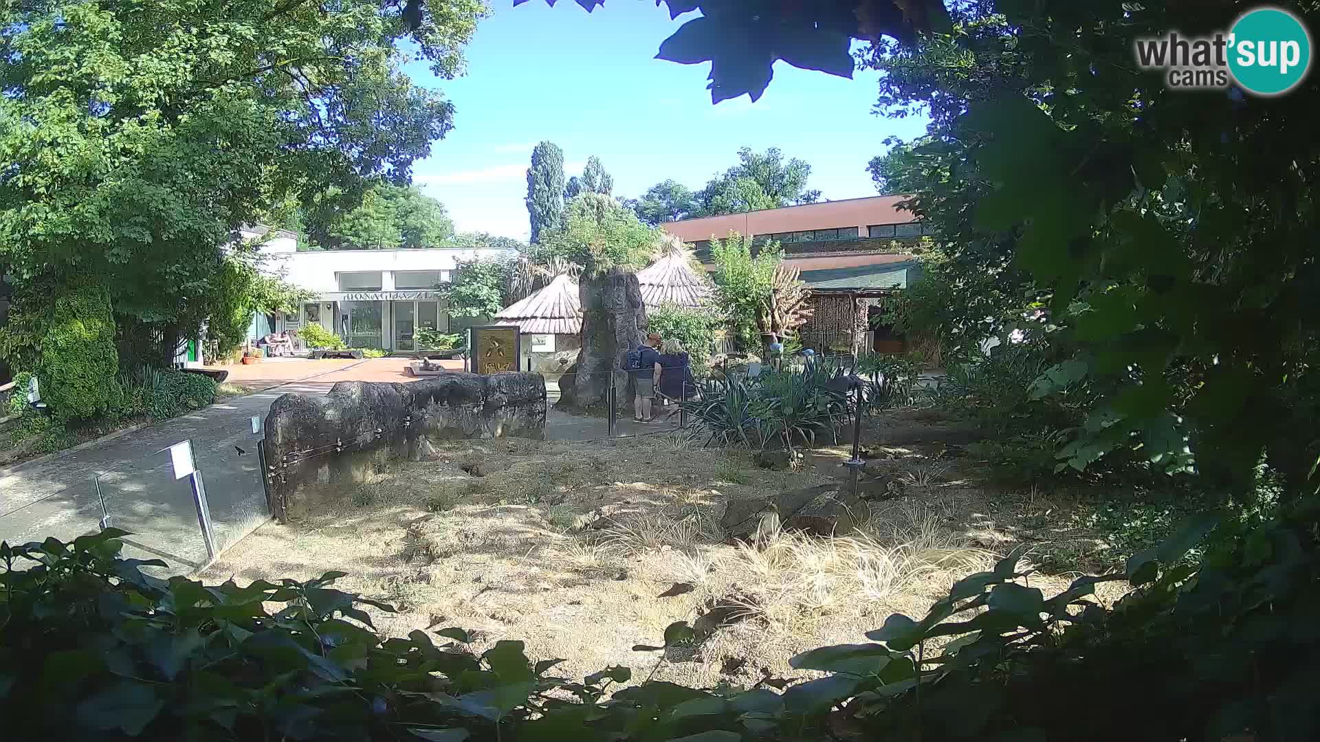 Zoo Zagreb – Erdmännchen