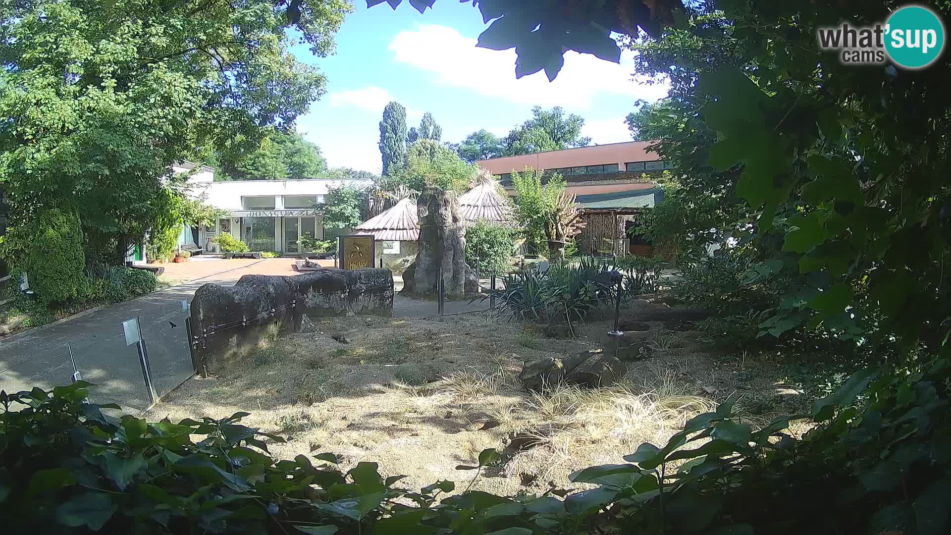 Zoo Zagreb – Erdmännchen