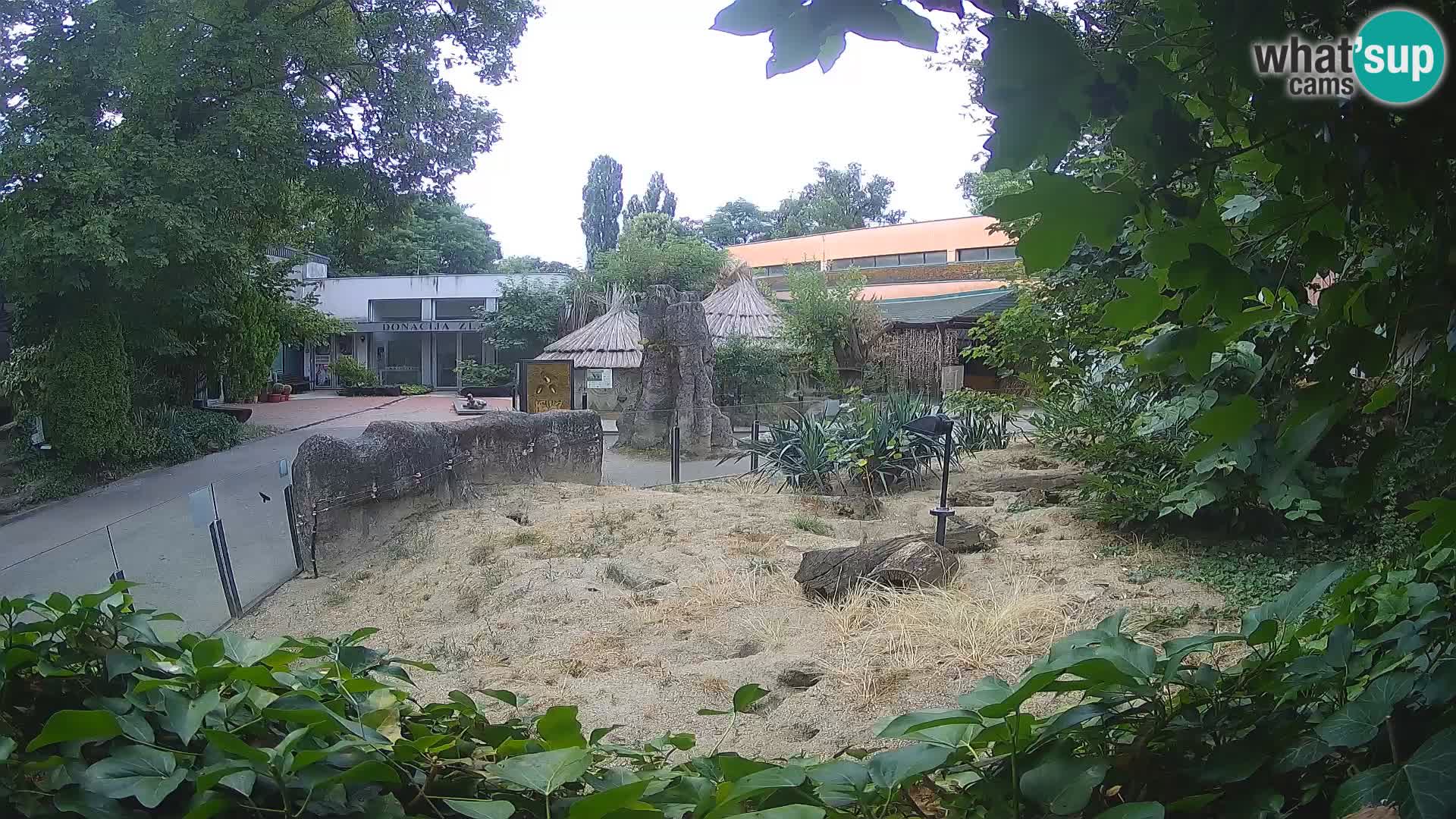 Zoo Zagreb – Erdmännchen