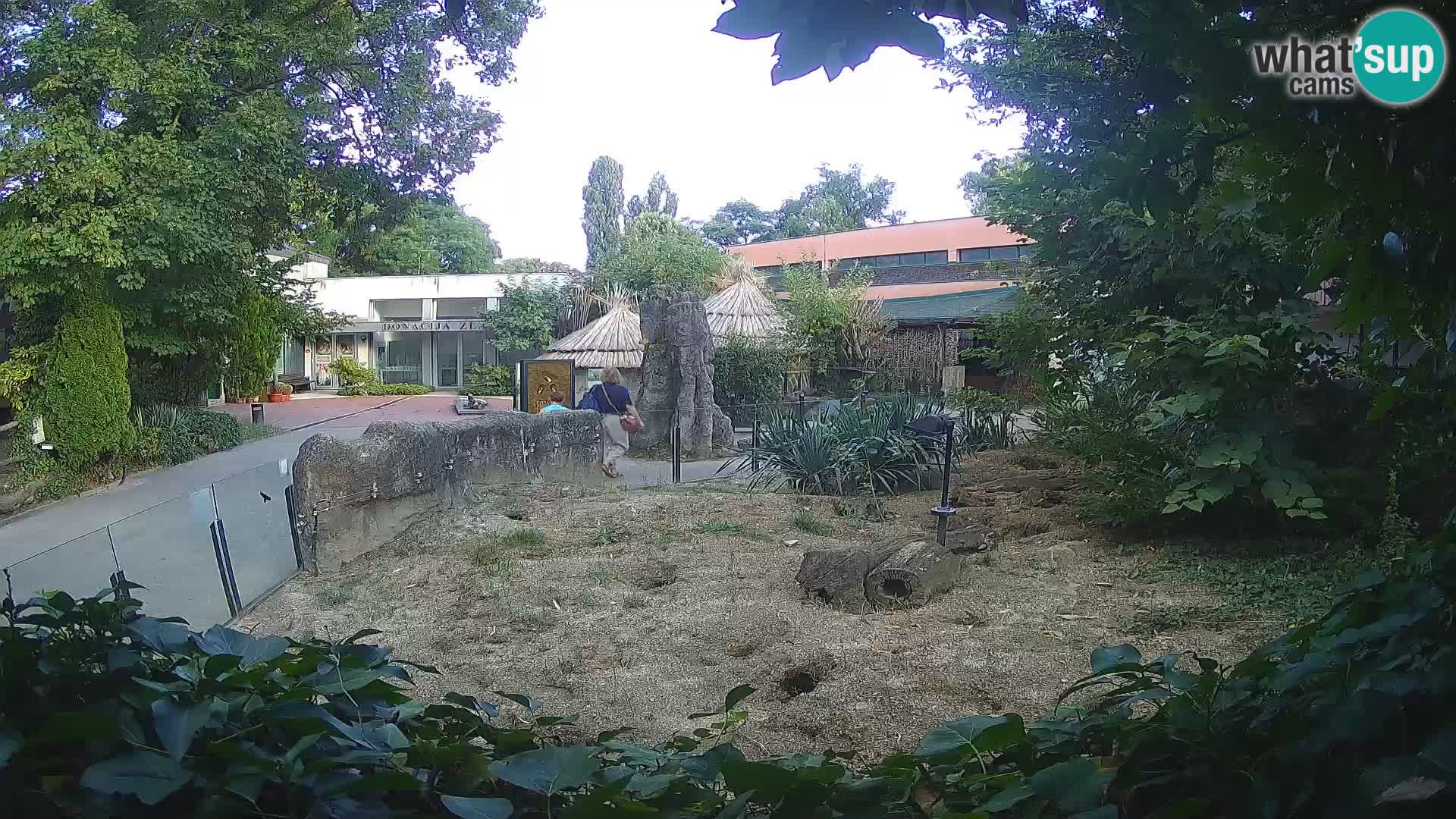 Zoo Zagreb – Erdmännchen