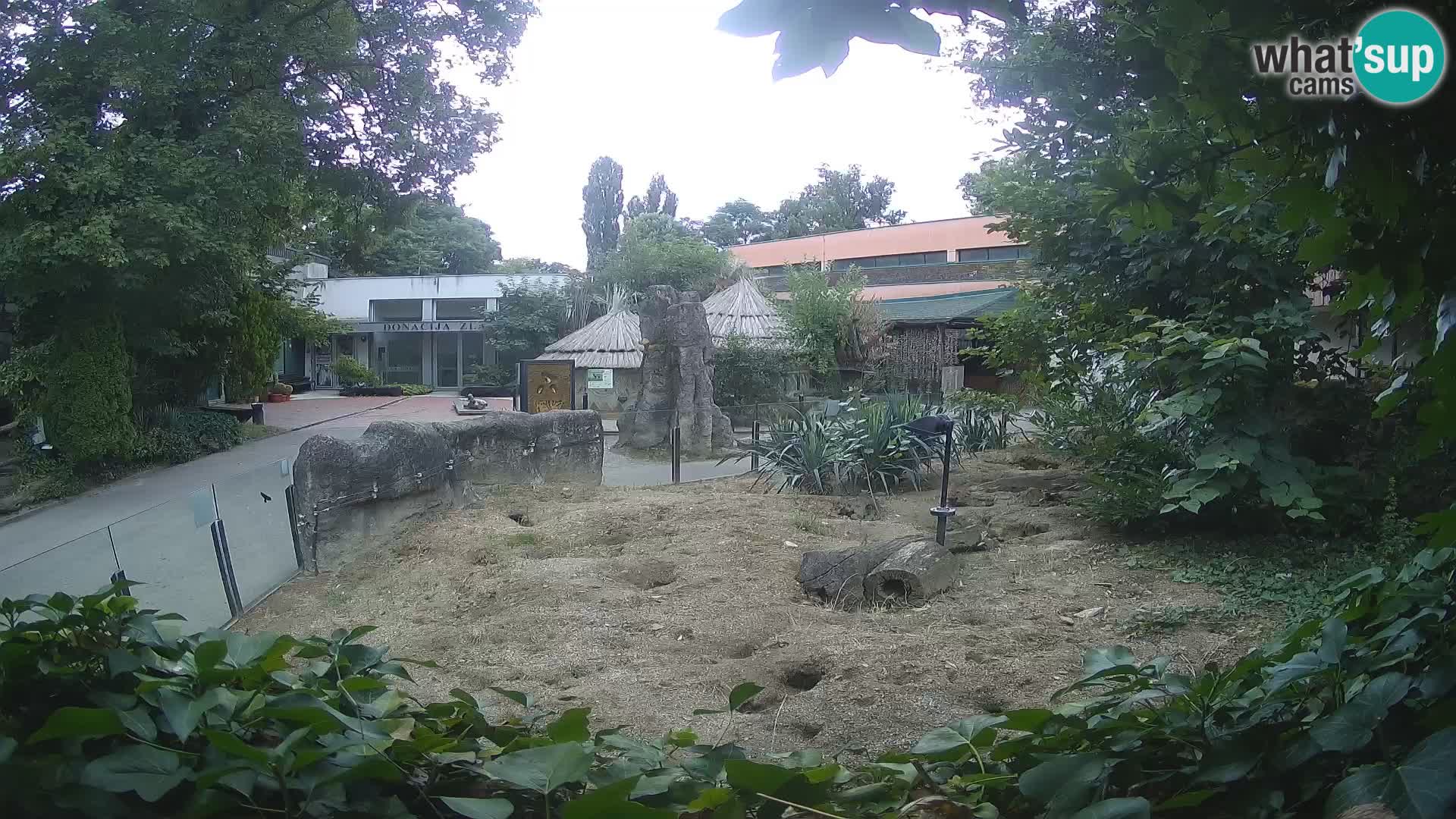Zoo Zagreb – Erdmännchen