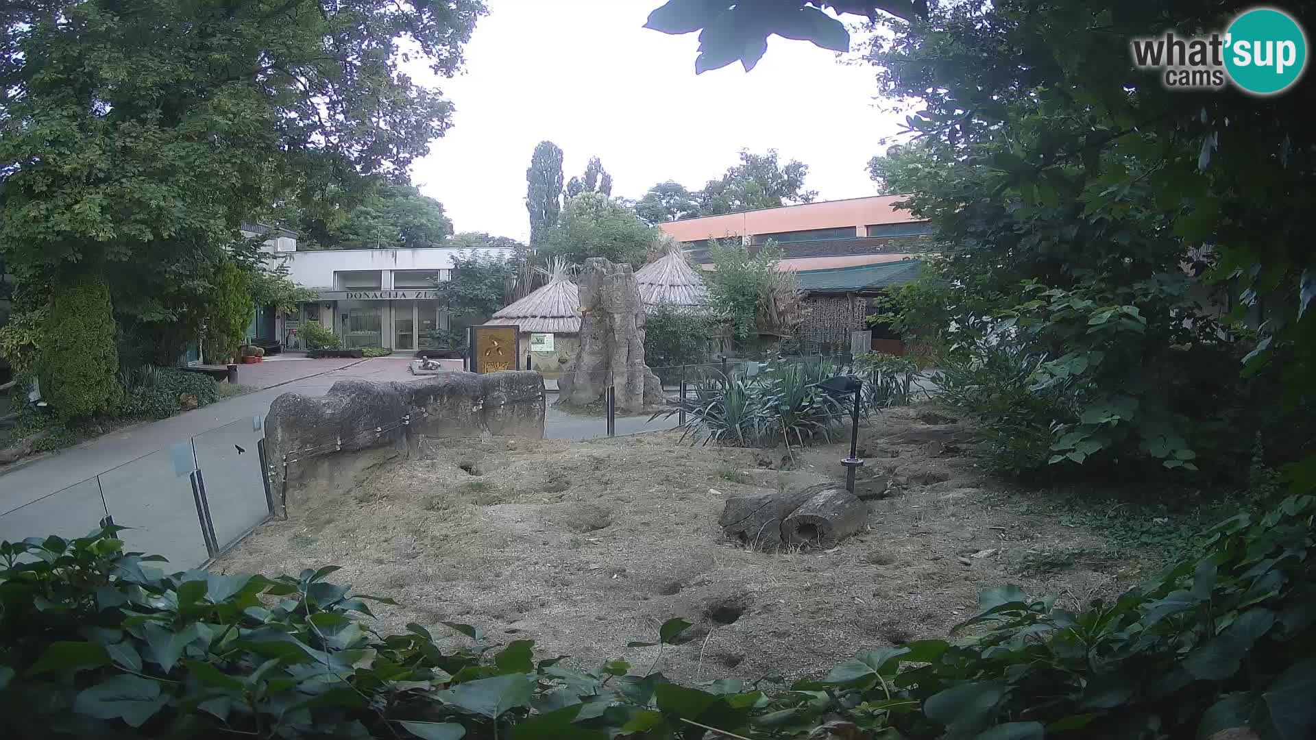 Zoo Zagreb – Erdmännchen