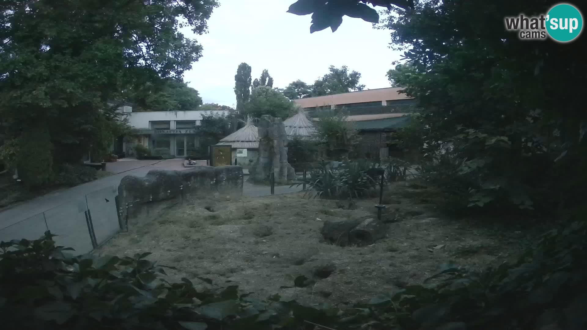 Zoo Zagreb – Merkat