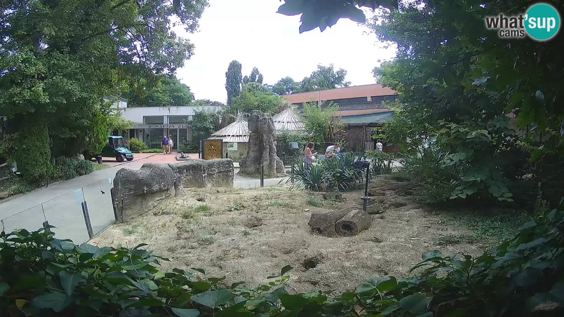 Zoo Zagreb – Erdmännchen