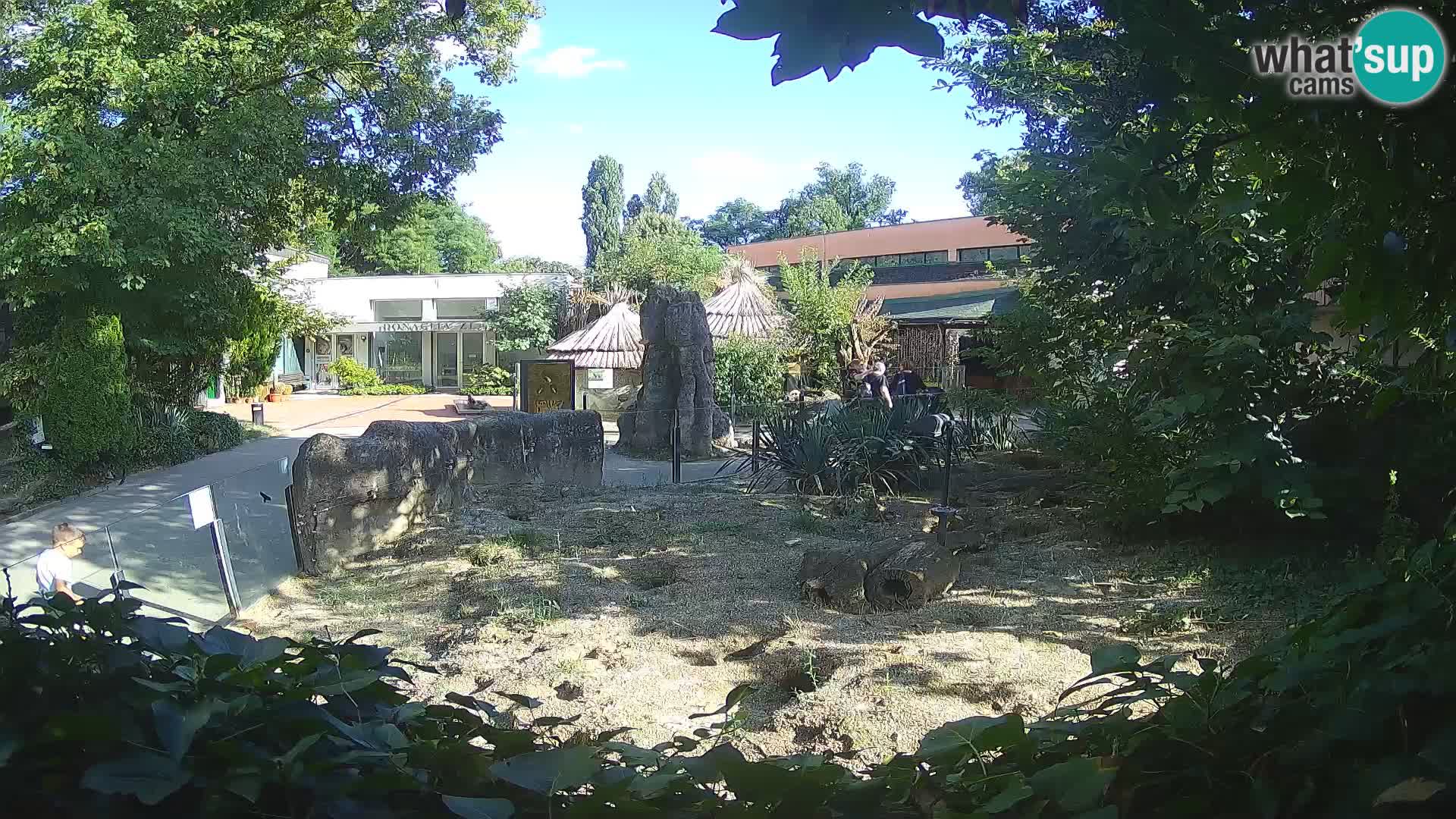 Zoo Zagreb – Surikate