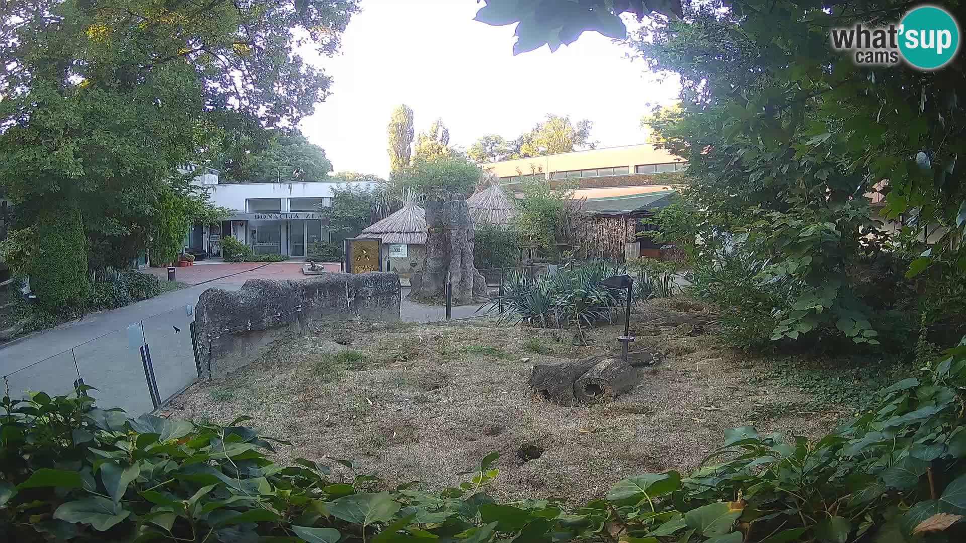 Zoo Zagreb – Merkat