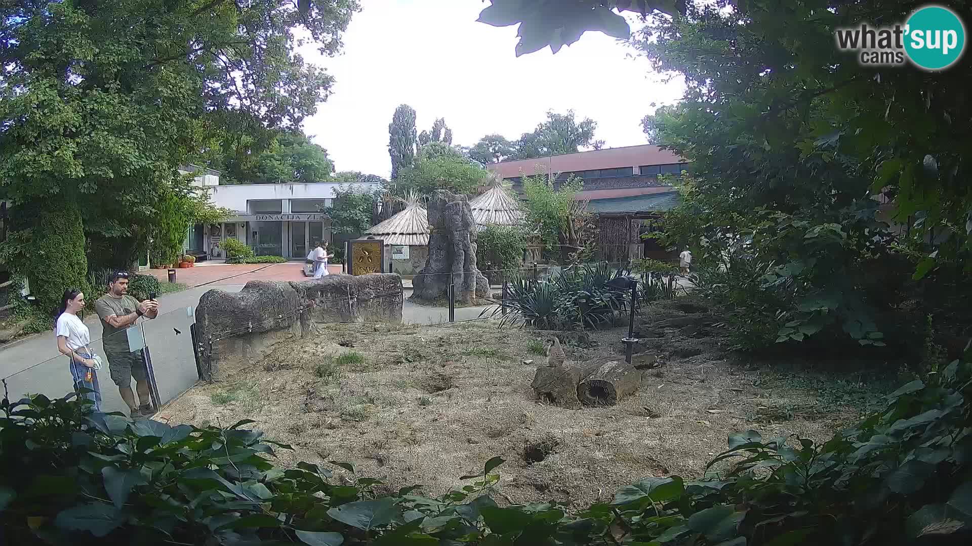 Zoo Zagreb – Surikate