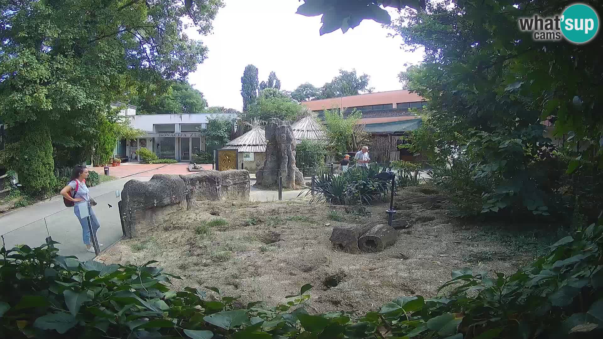 Zoo Zagreb – Surikate
