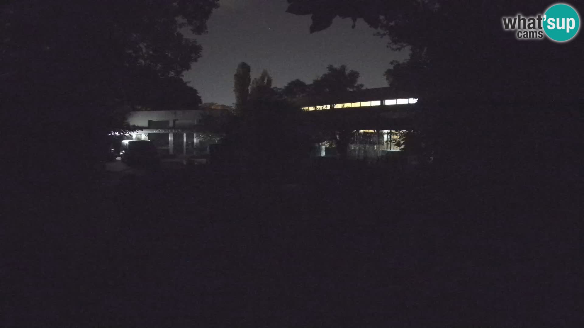 Zoo Zagreb – Erdmännchen