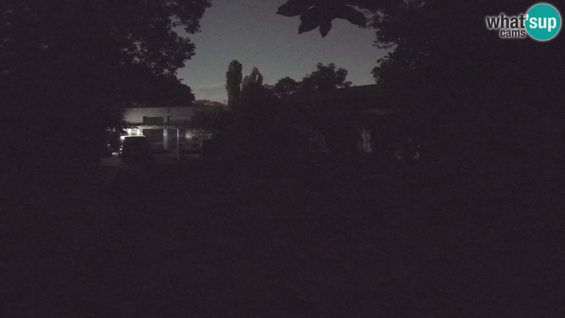 Zoo Zagreb – Surikate
