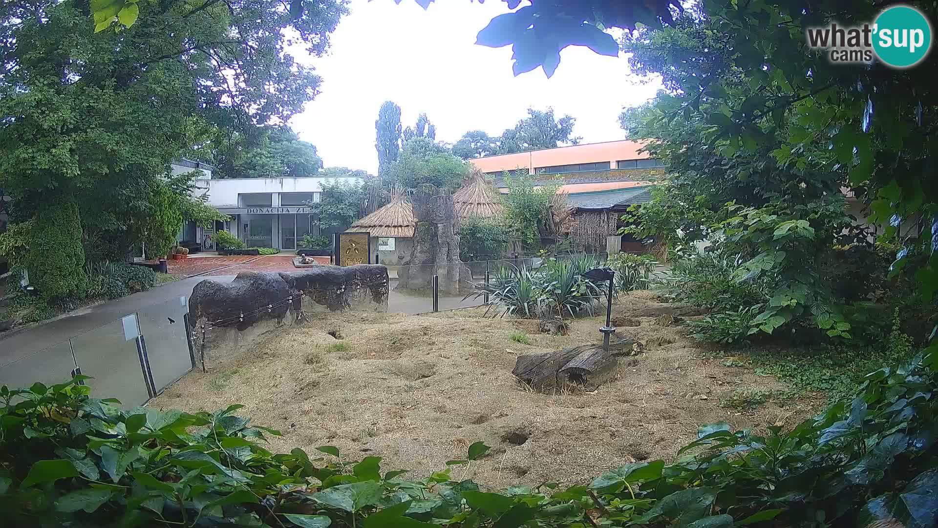 Zoo Zagreb – Merkat
