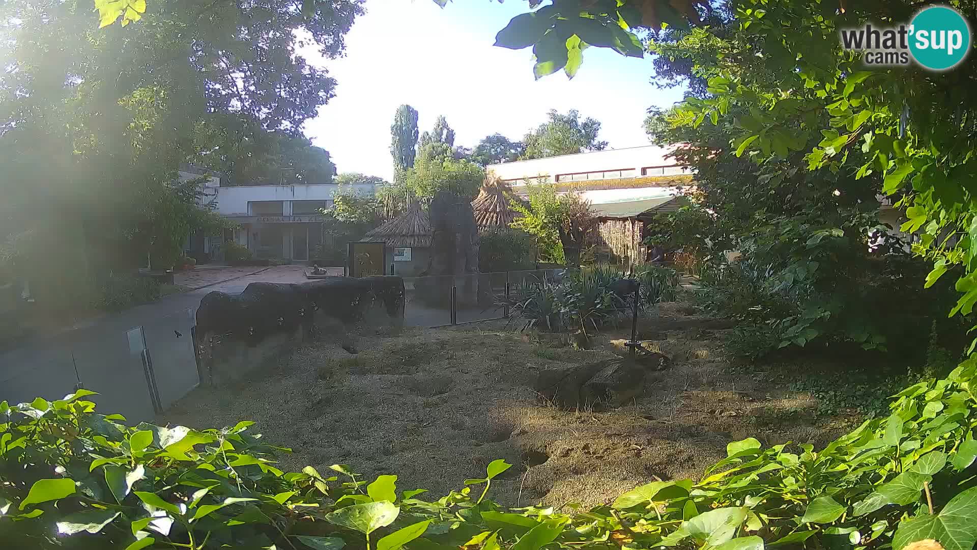 Zoo Zagreb – Erdmännchen