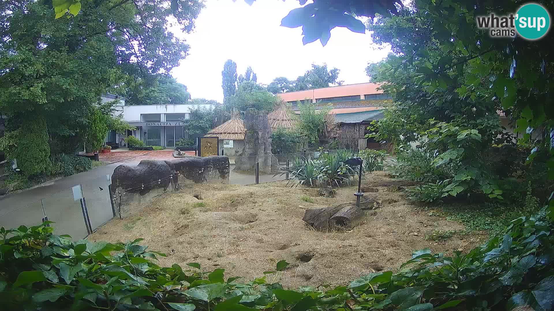 Zoo Zagreb – Merkat
