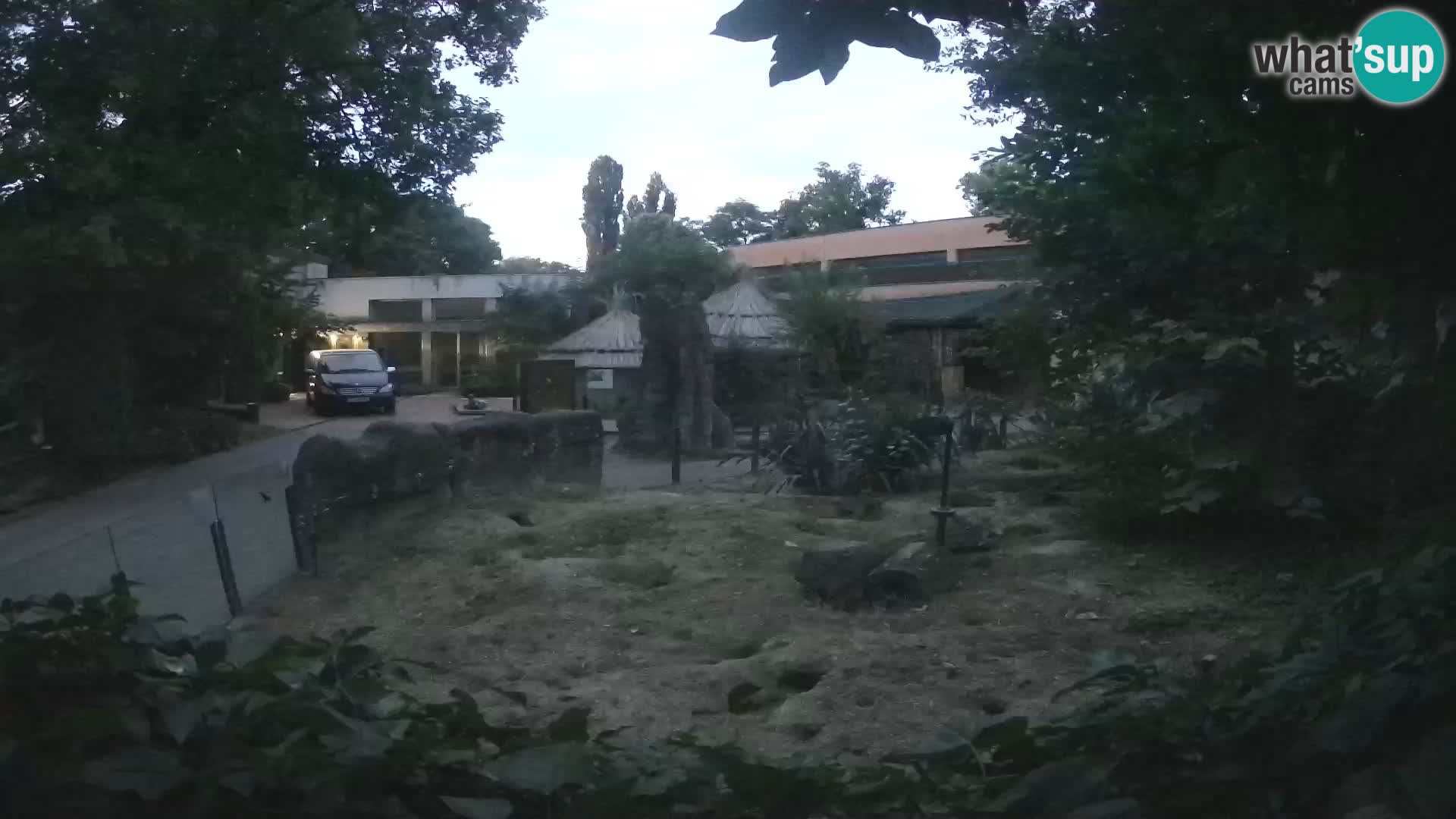 Zoo Zagreb – Surikate