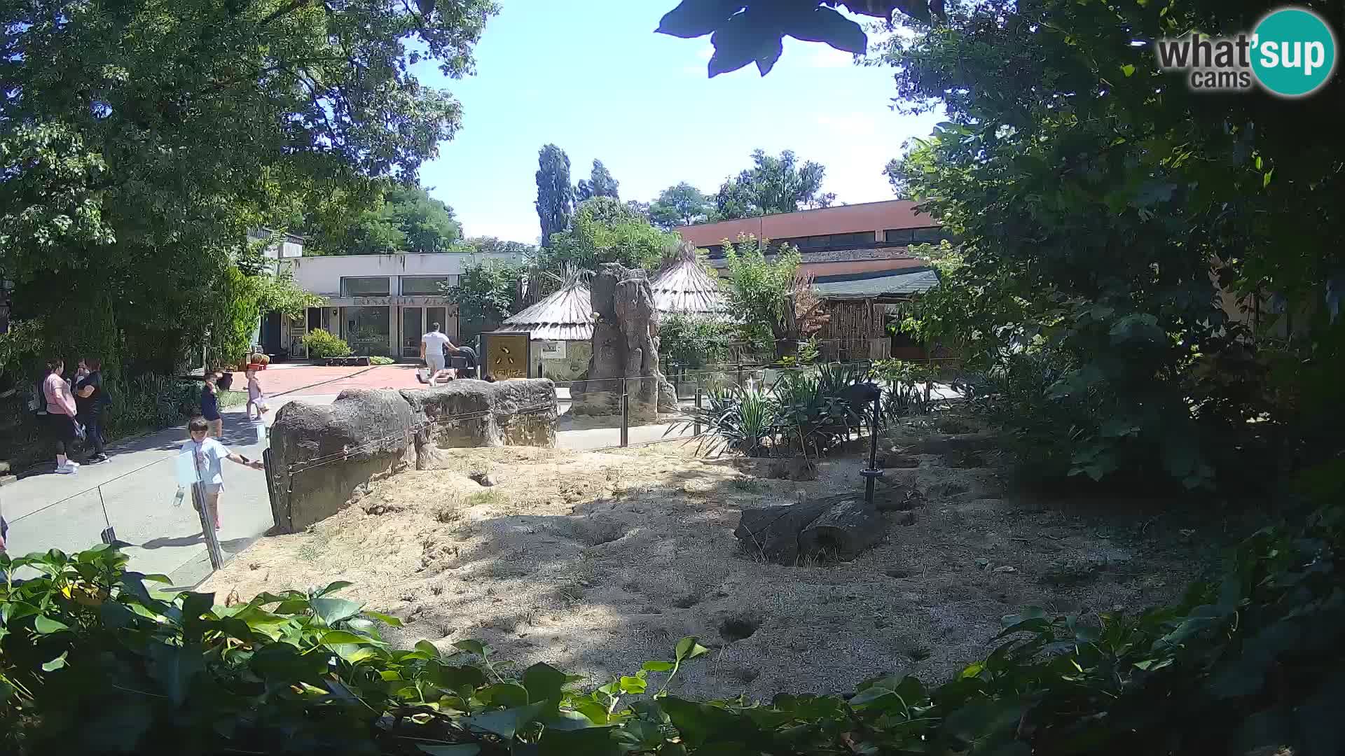 Zoo Zagreb – Surikate