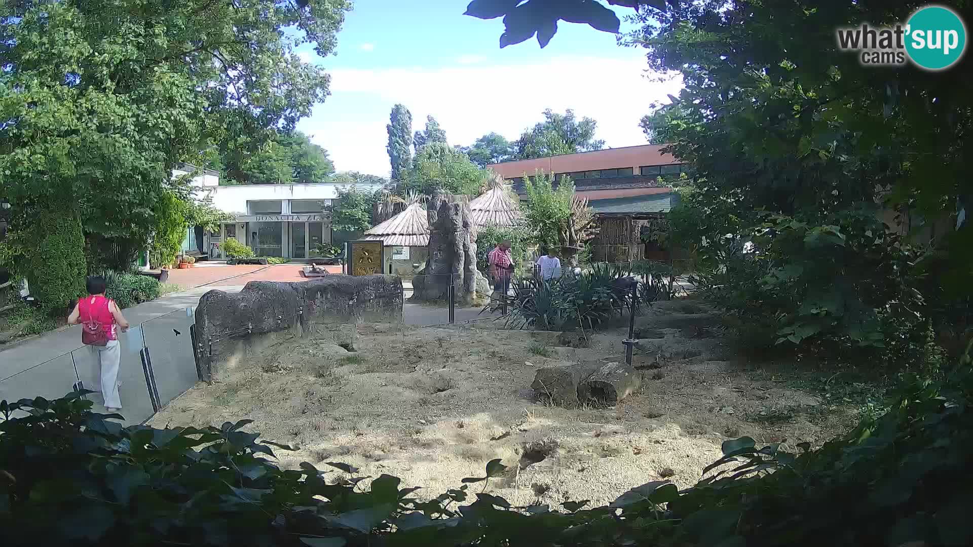 Zoo Zagreb – Merkat