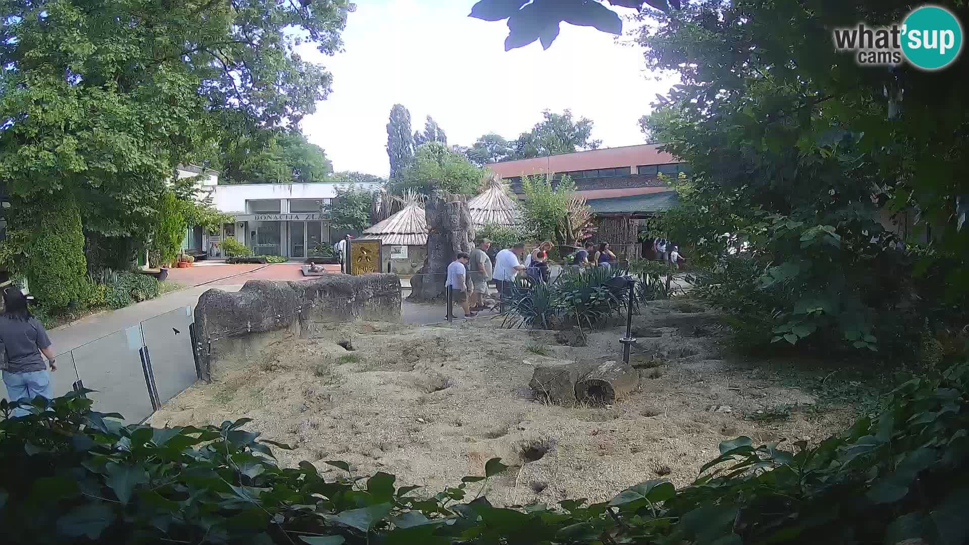 Zoo Zagreb – Merkat