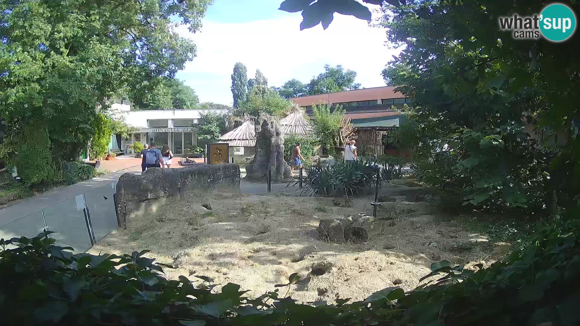 Zoo Zagreb – Merkat