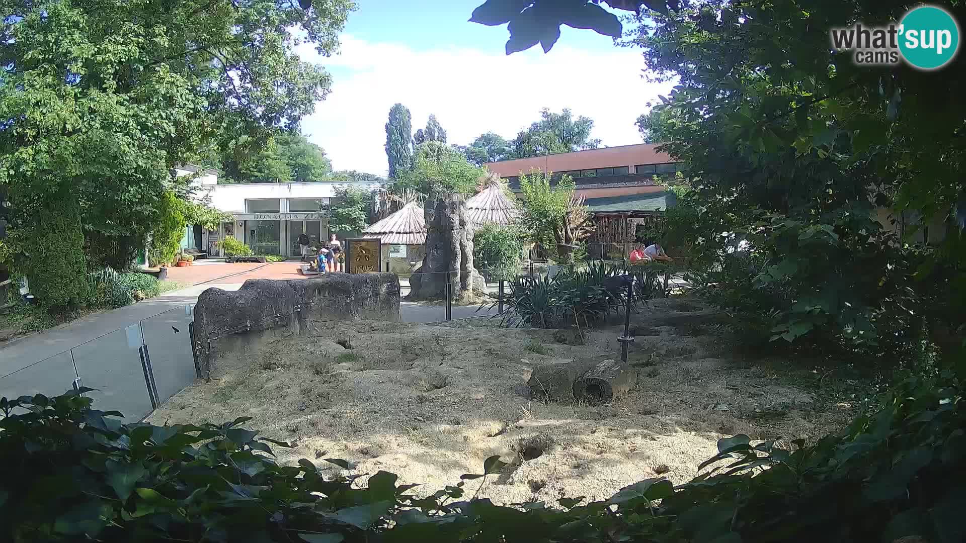 Zoo Zagreb – Erdmännchen