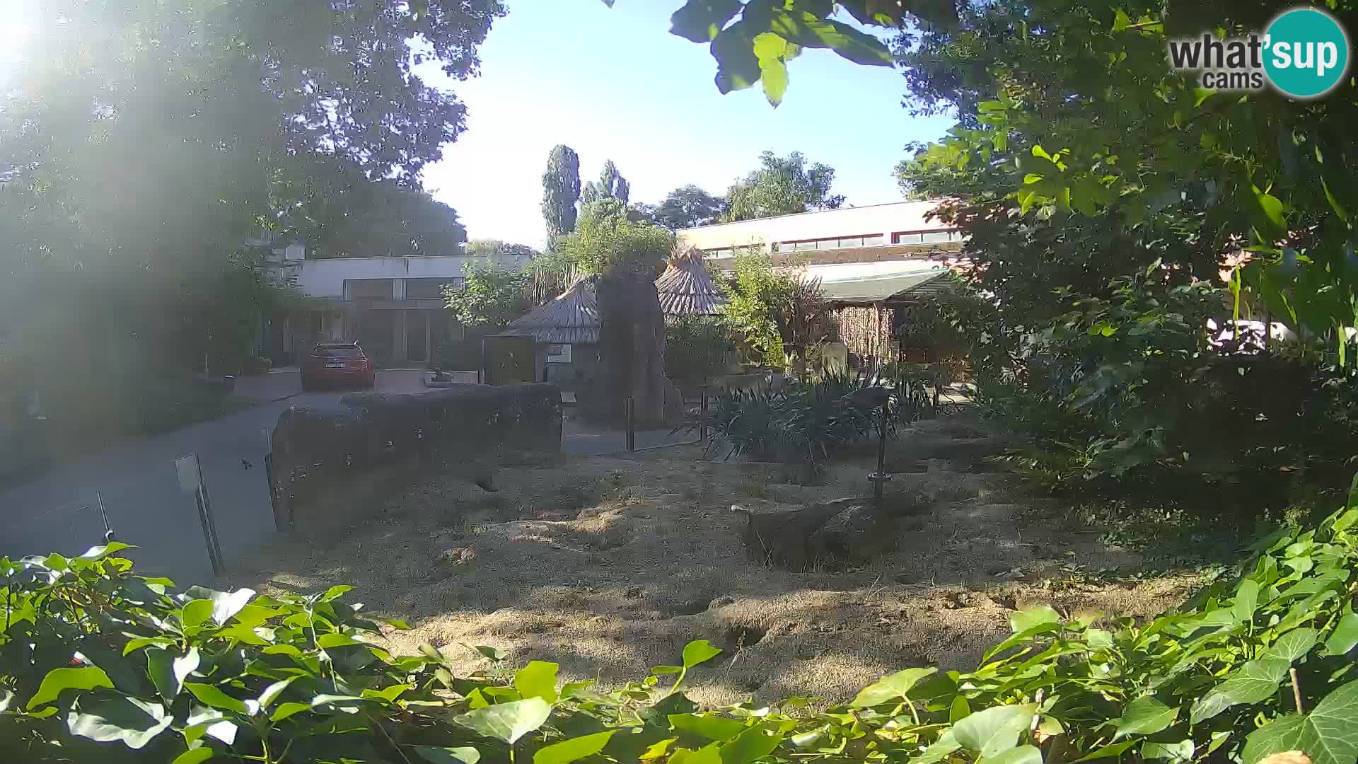 Zoo Zagreb – Erdmännchen