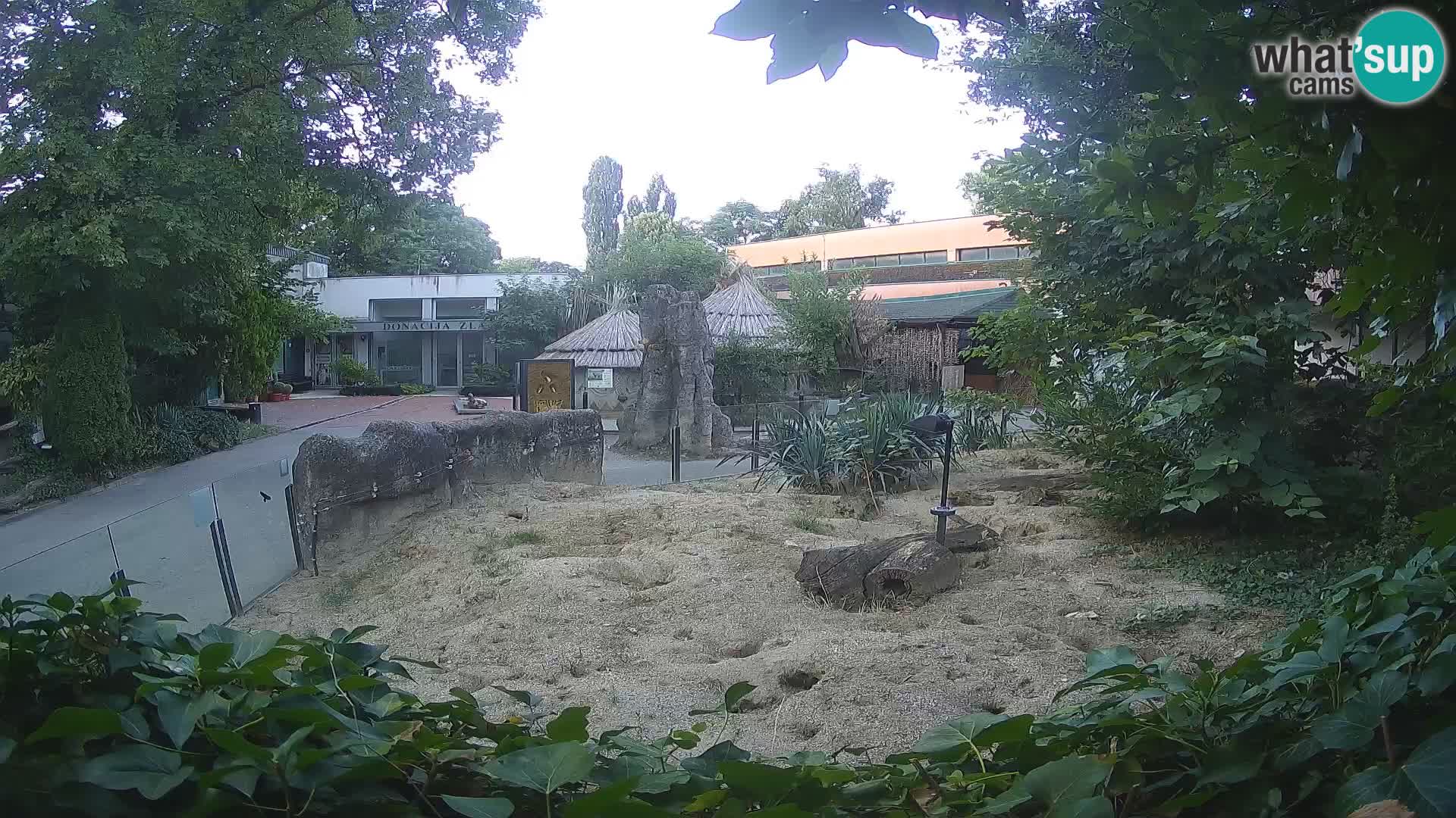 Zoo Zagreb – Erdmännchen