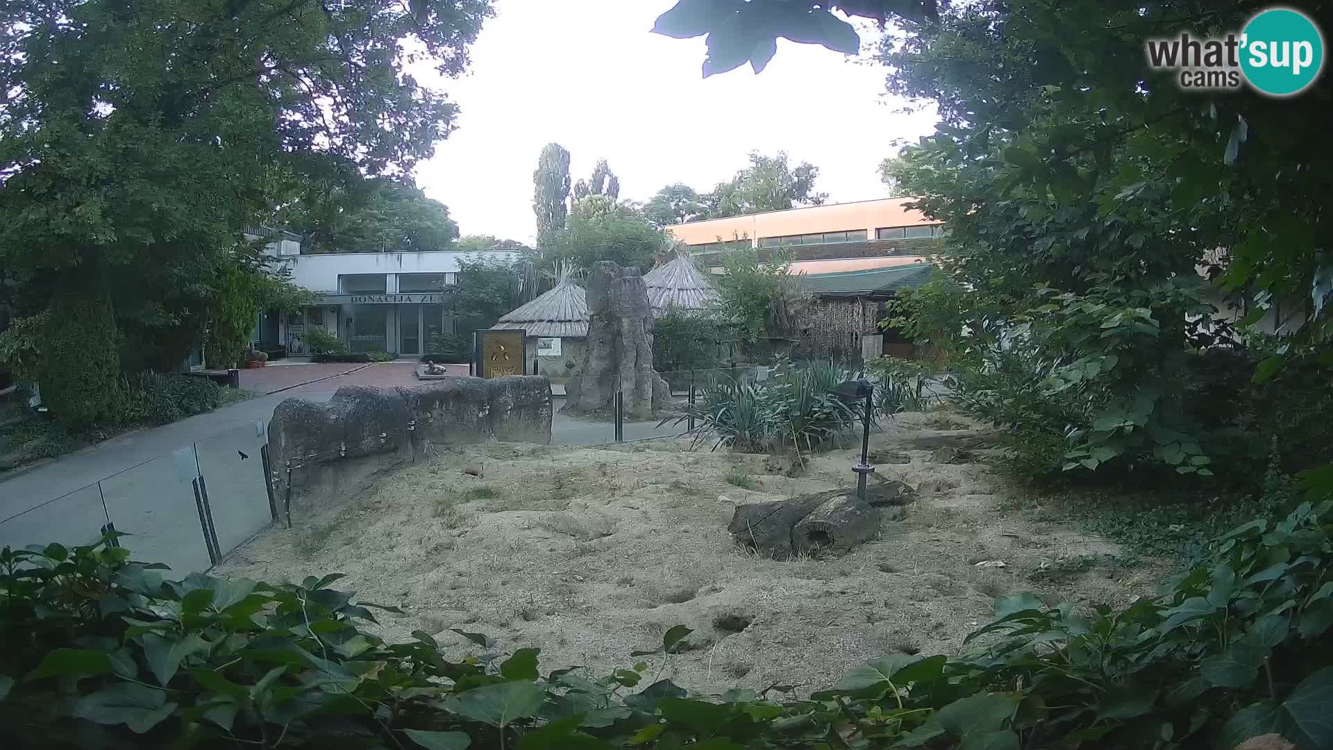 Zoo Zagreb – Erdmännchen