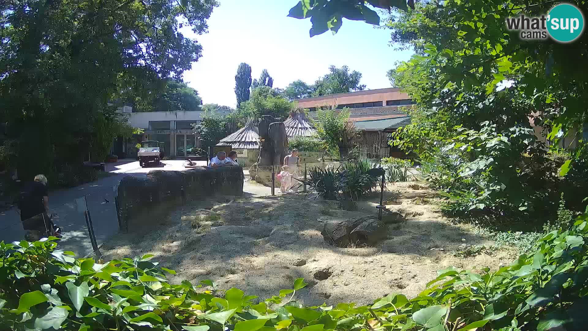 Zoo Zagreb – Erdmännchen
