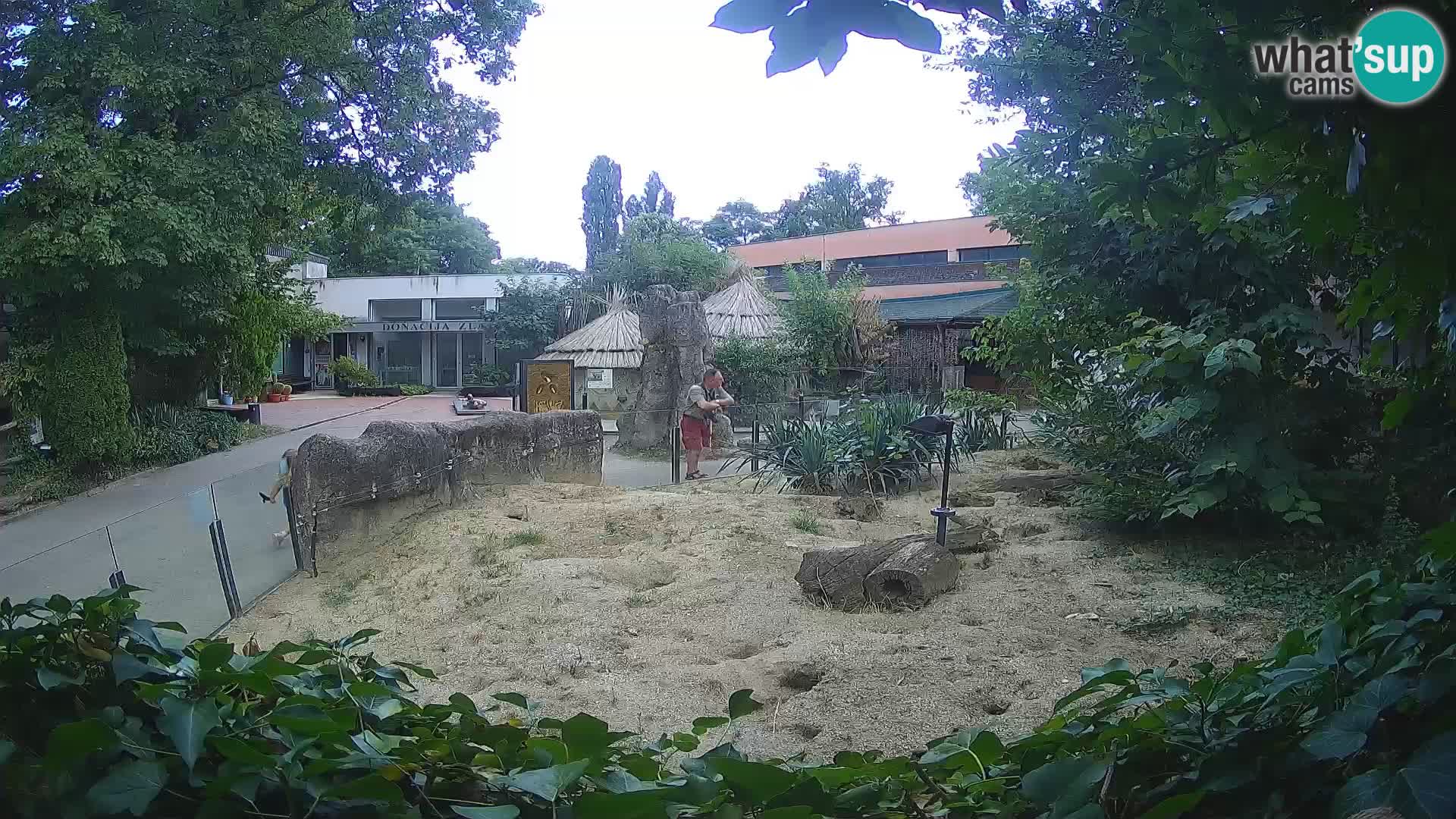 Zoo Zagreb – Merkat