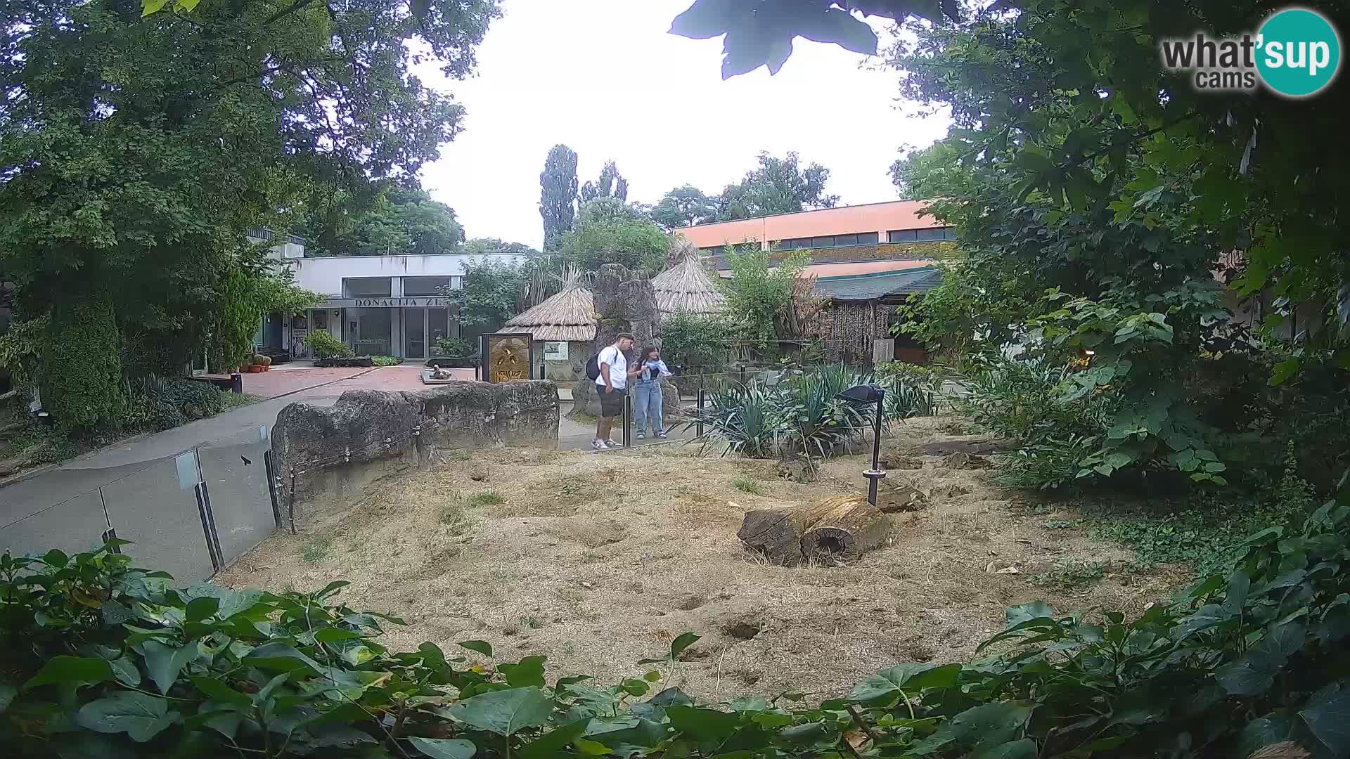 Zoo Zagreb – Erdmännchen
