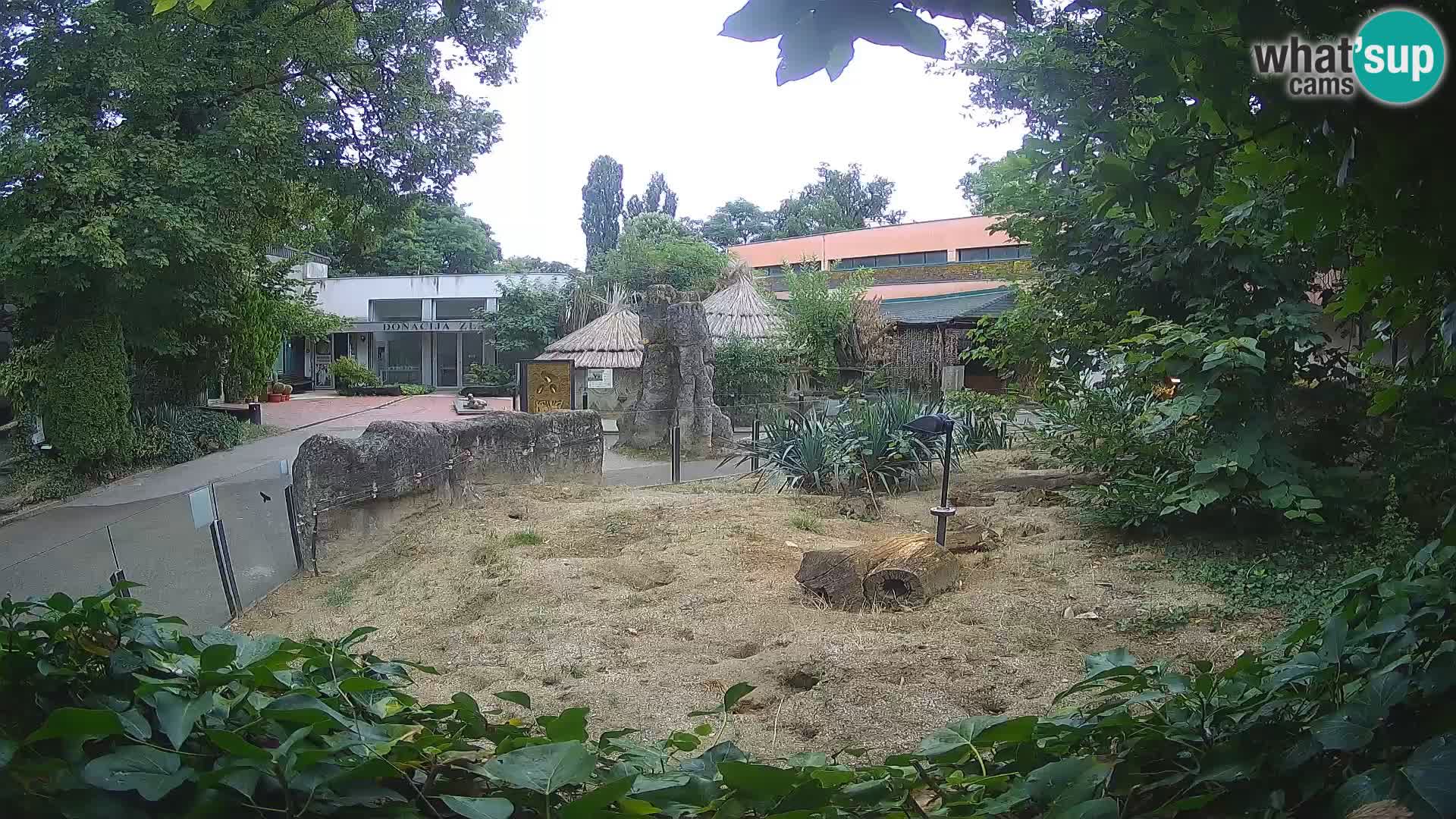 Zoo Zagreb – Erdmännchen