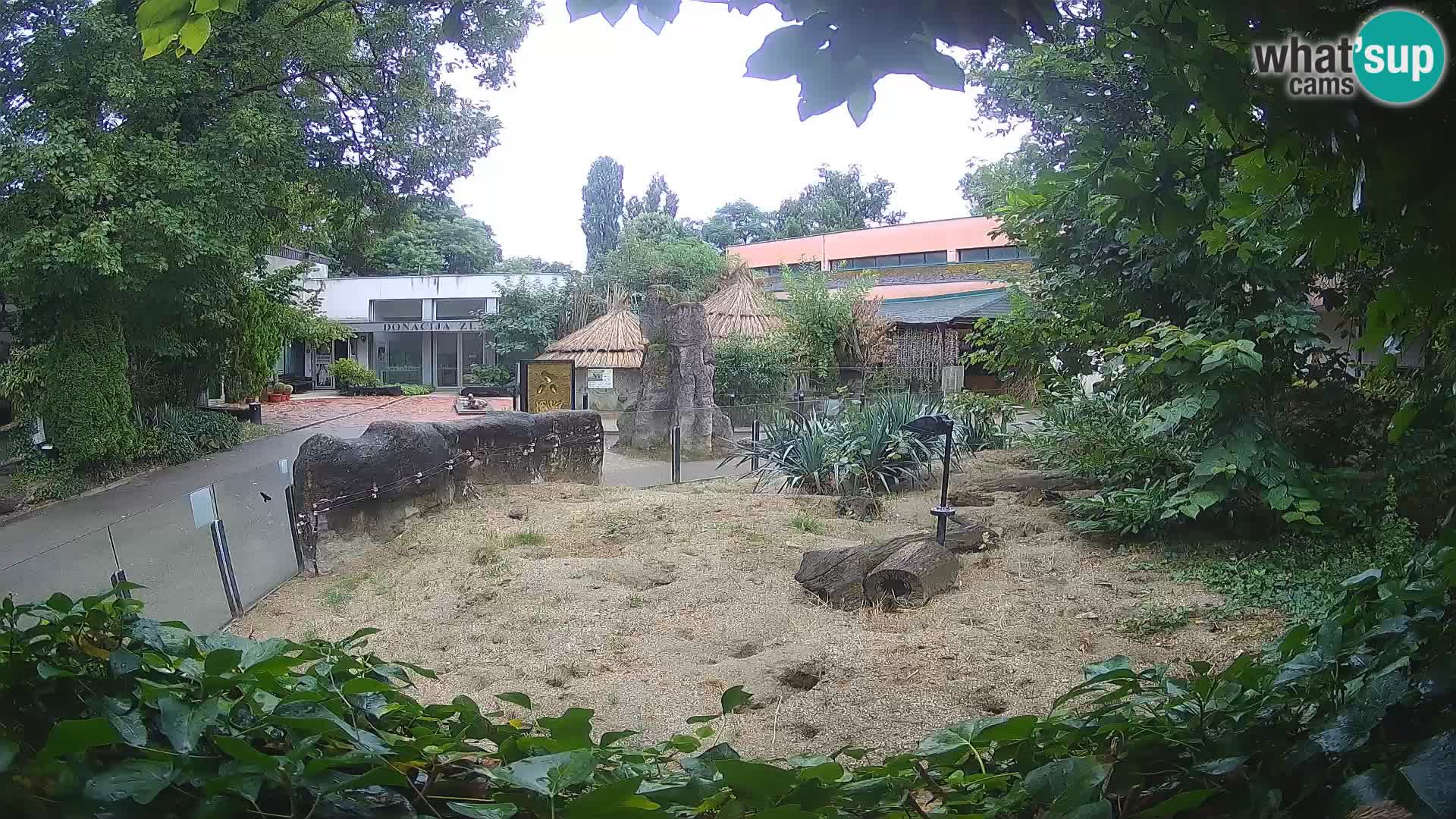 Zoo Zagreb – Erdmännchen